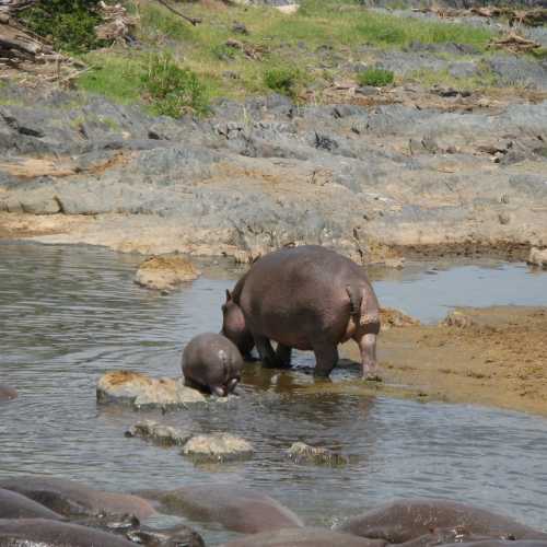 Tanzania