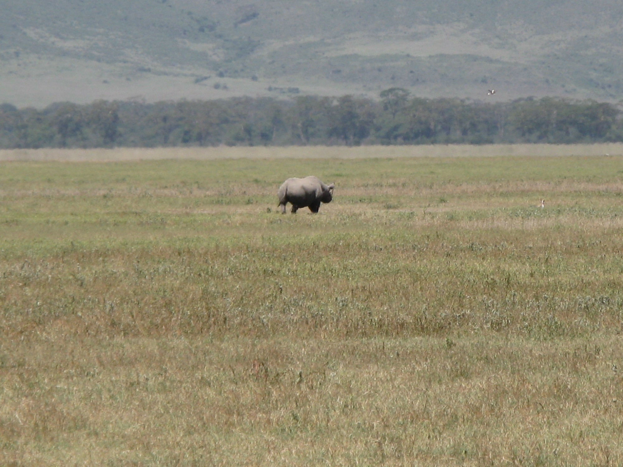 Tanzania