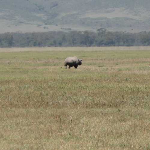 Tanzania