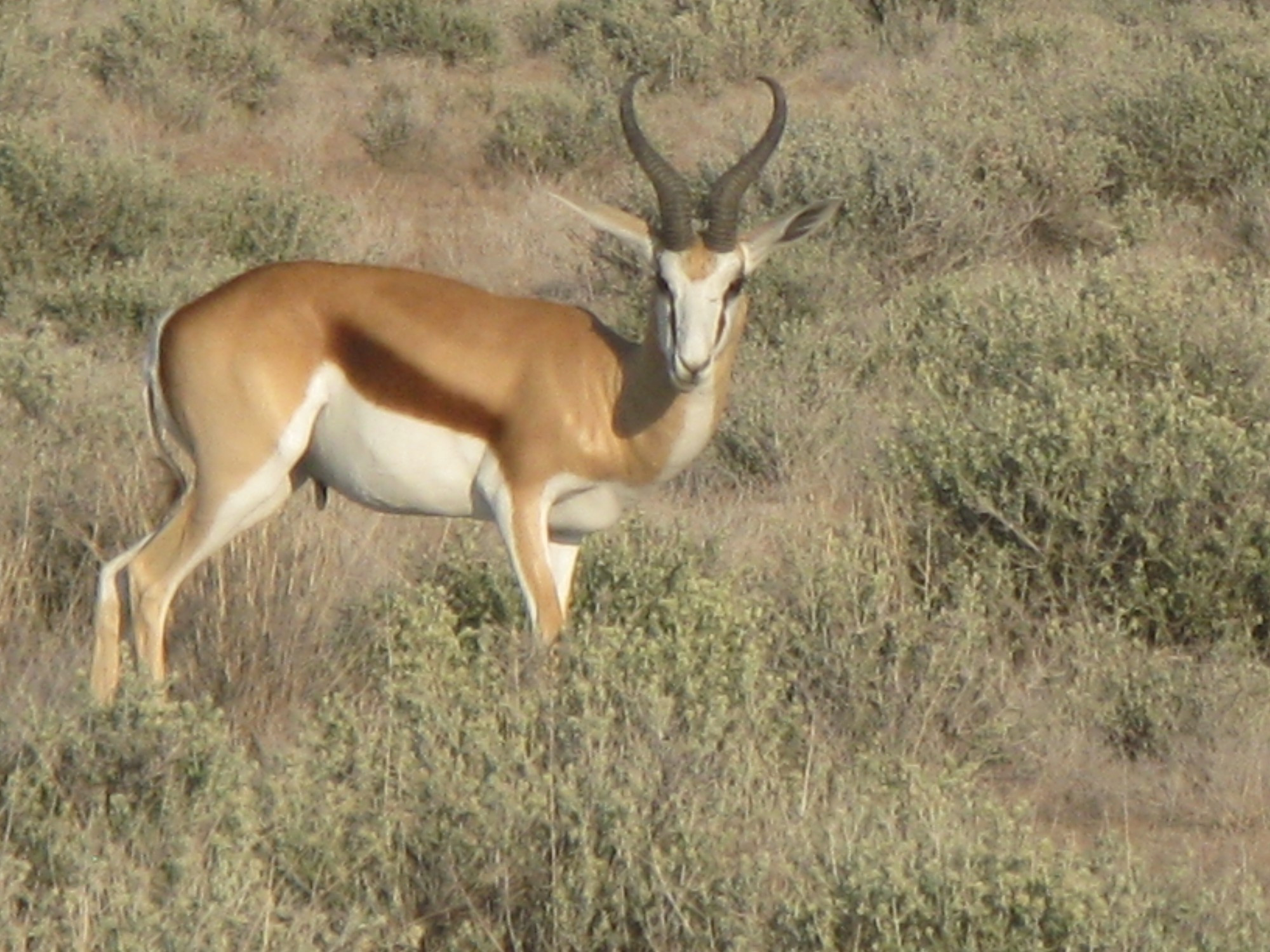 Namibia