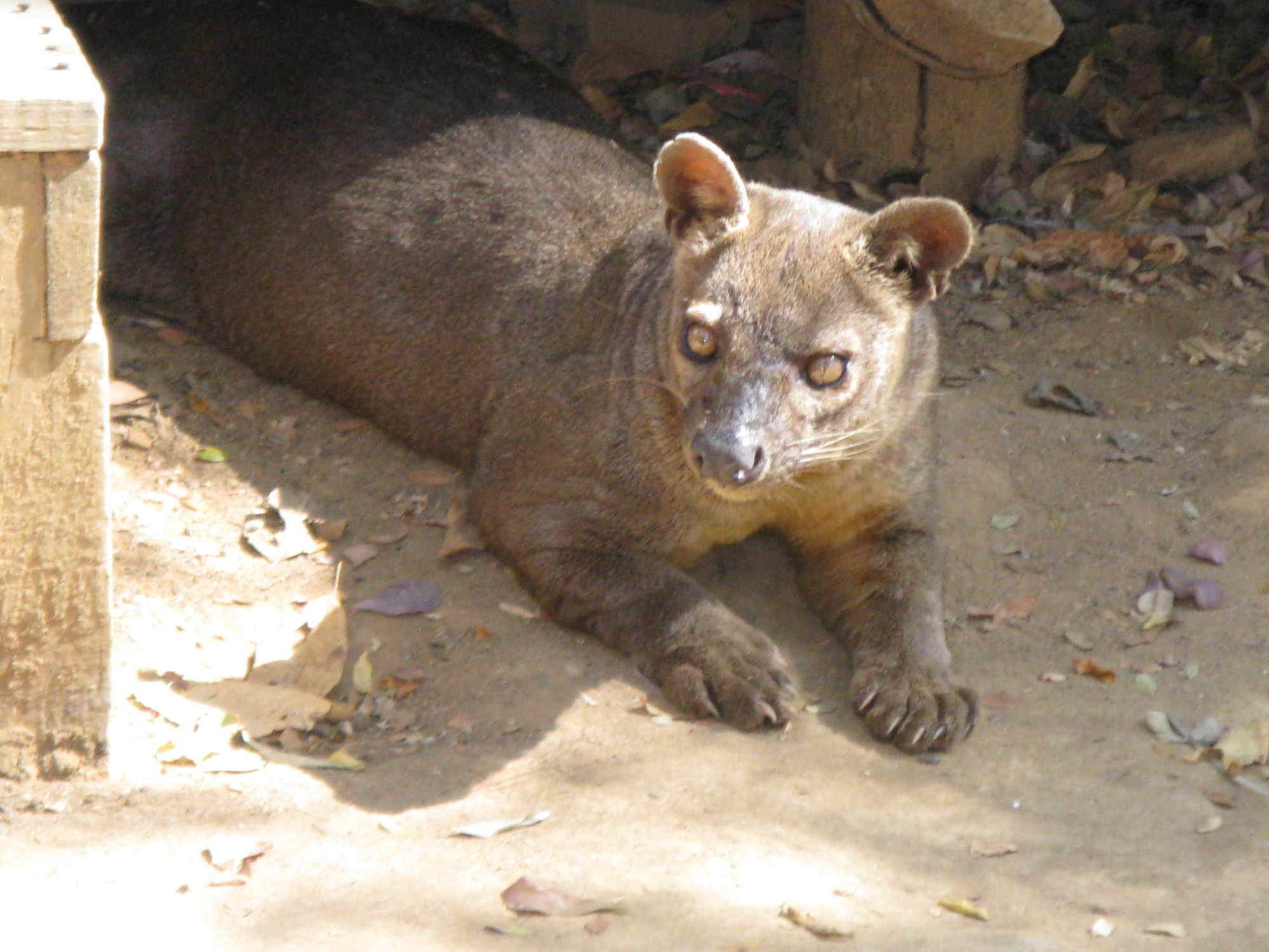 Madagascar