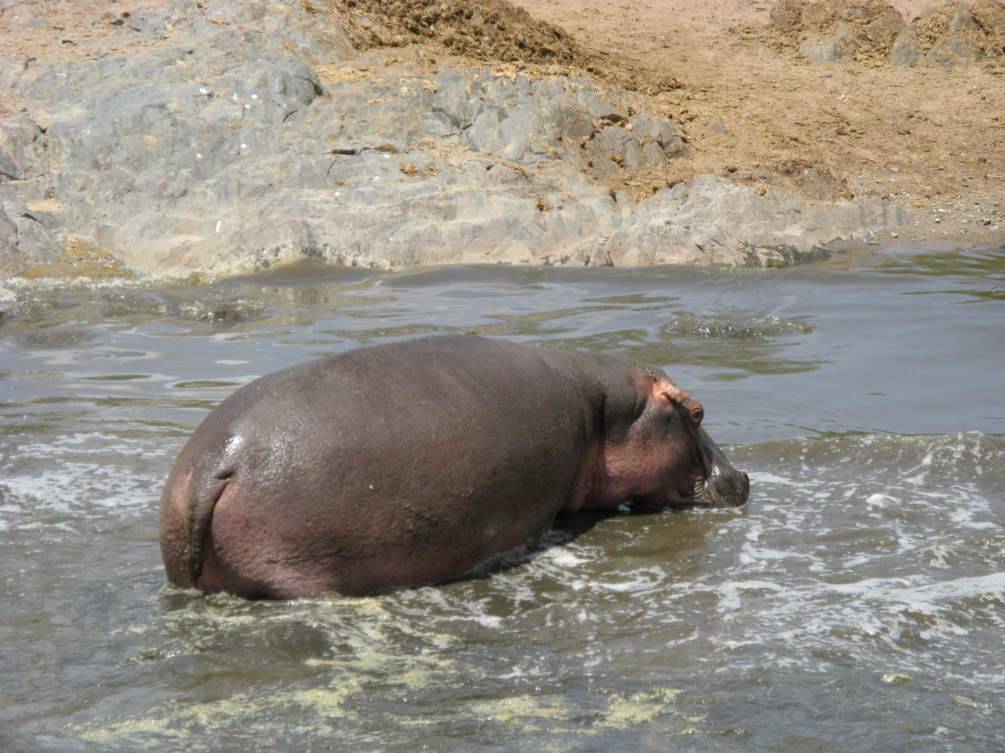 Tanzania