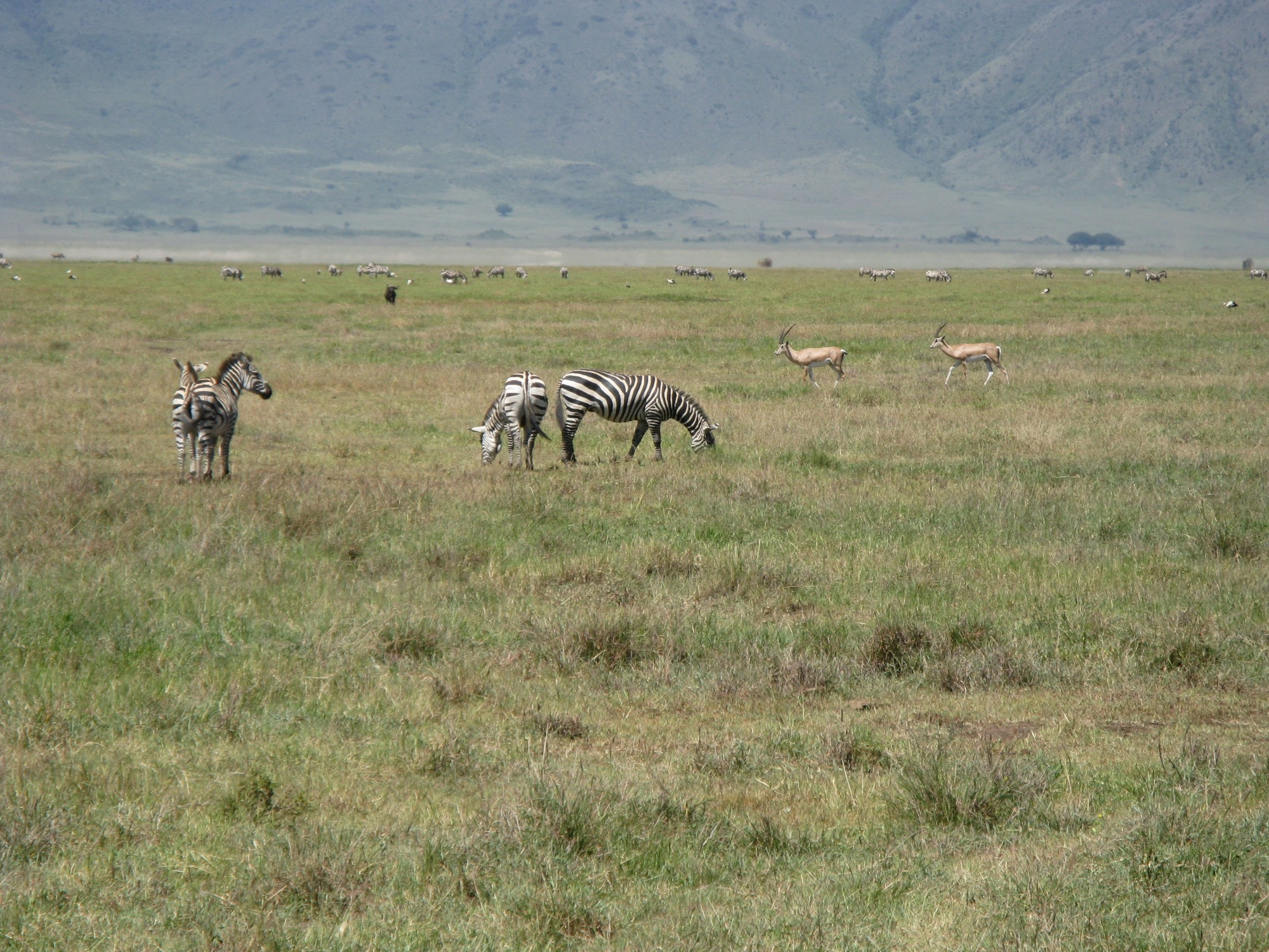 Tanzania