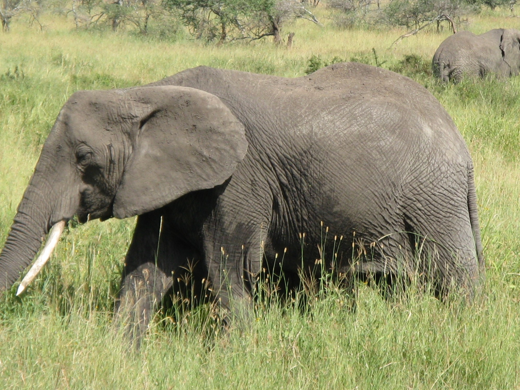 Tanzania