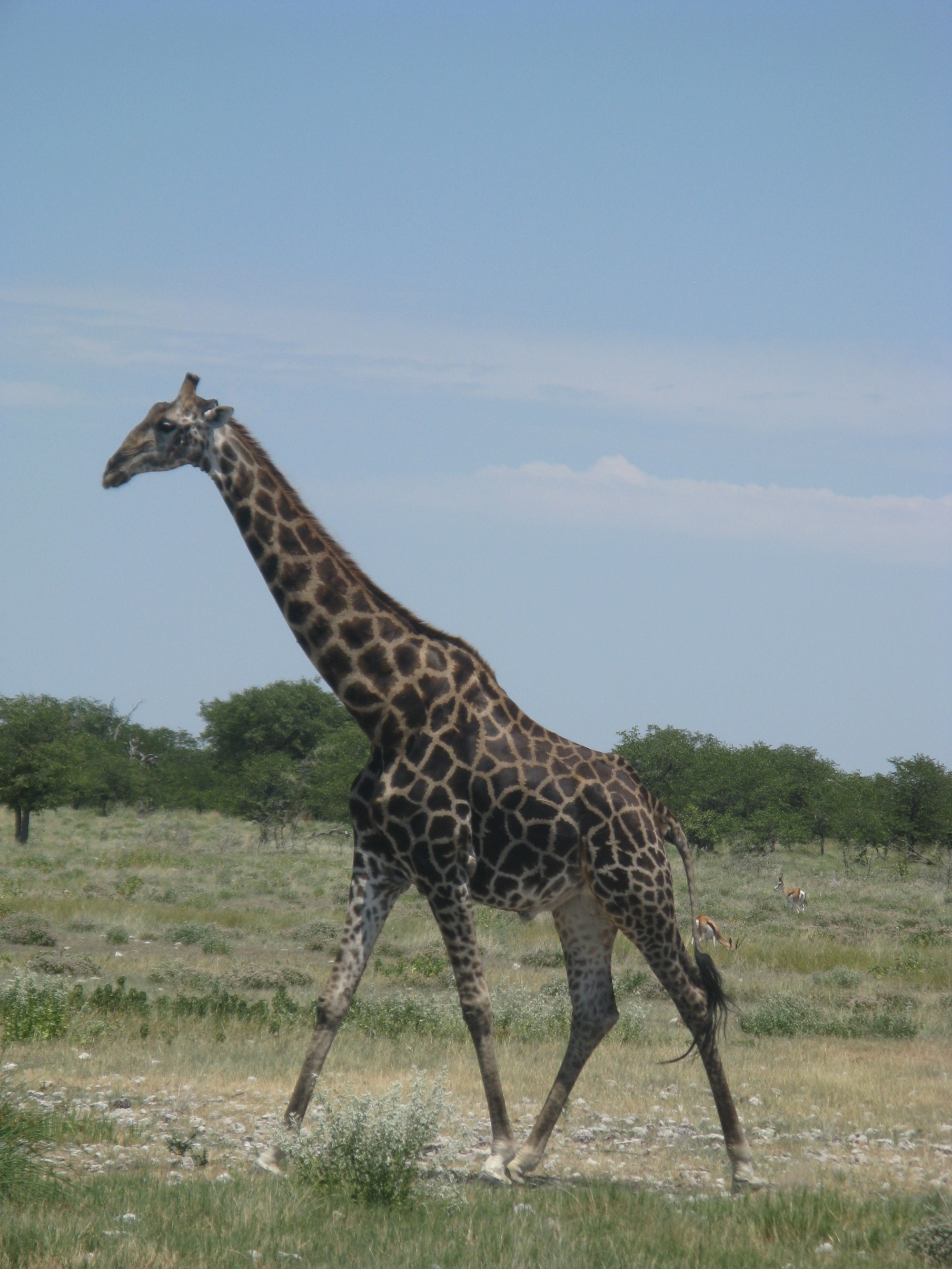 Namibia