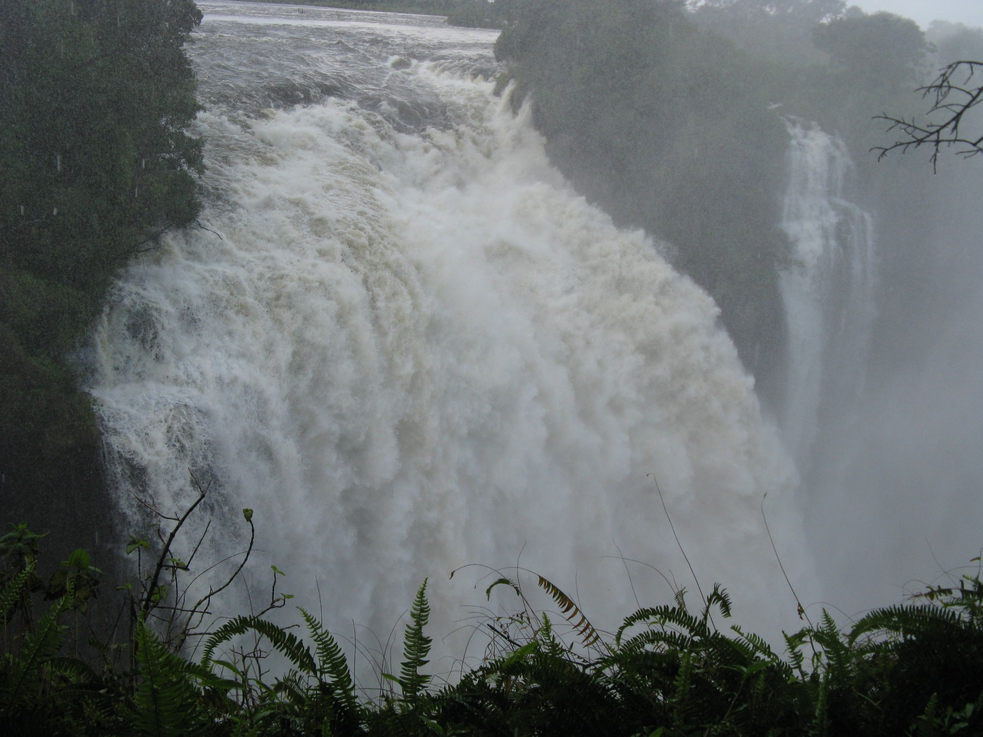 Zambia