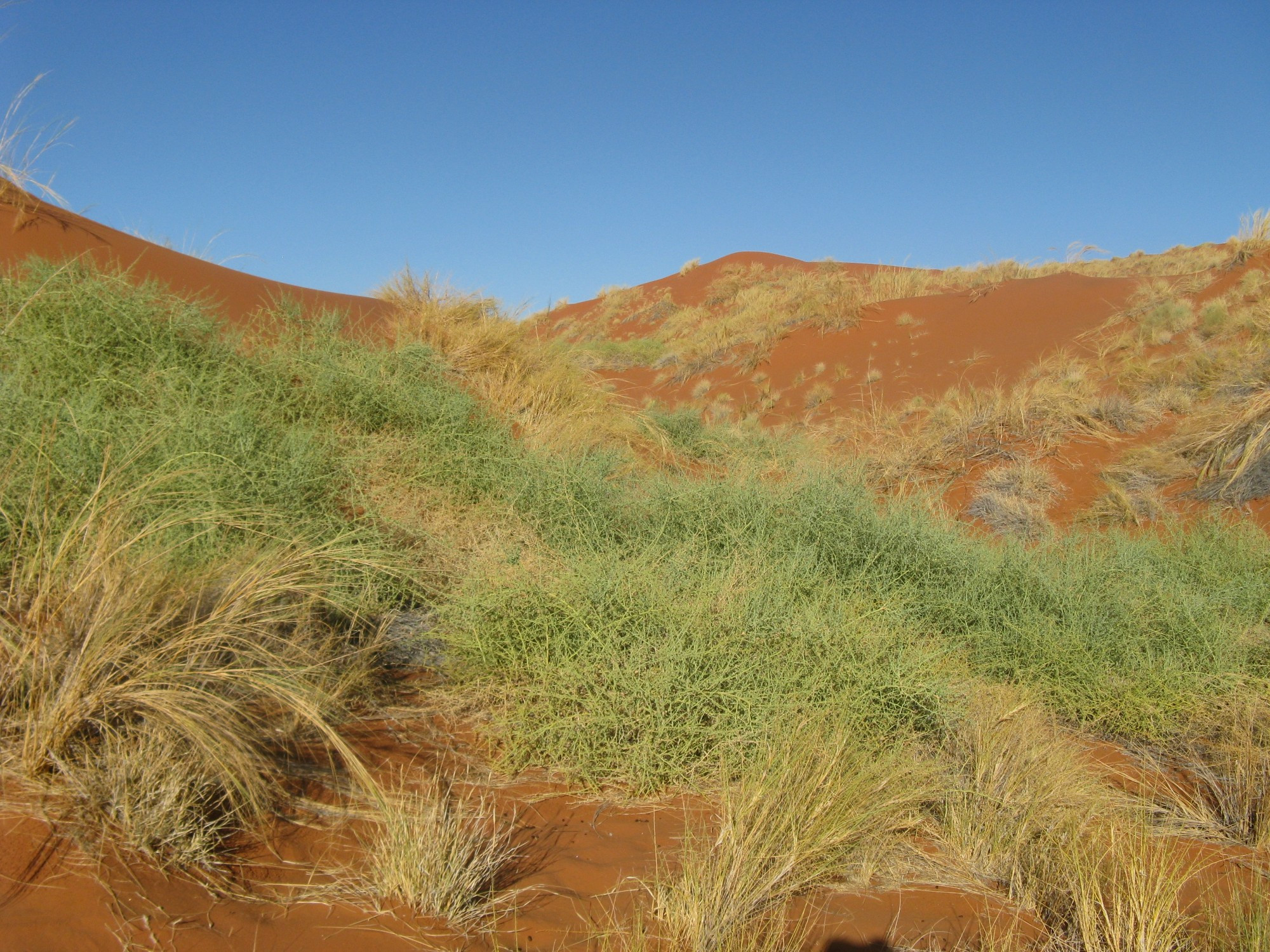 Namibia