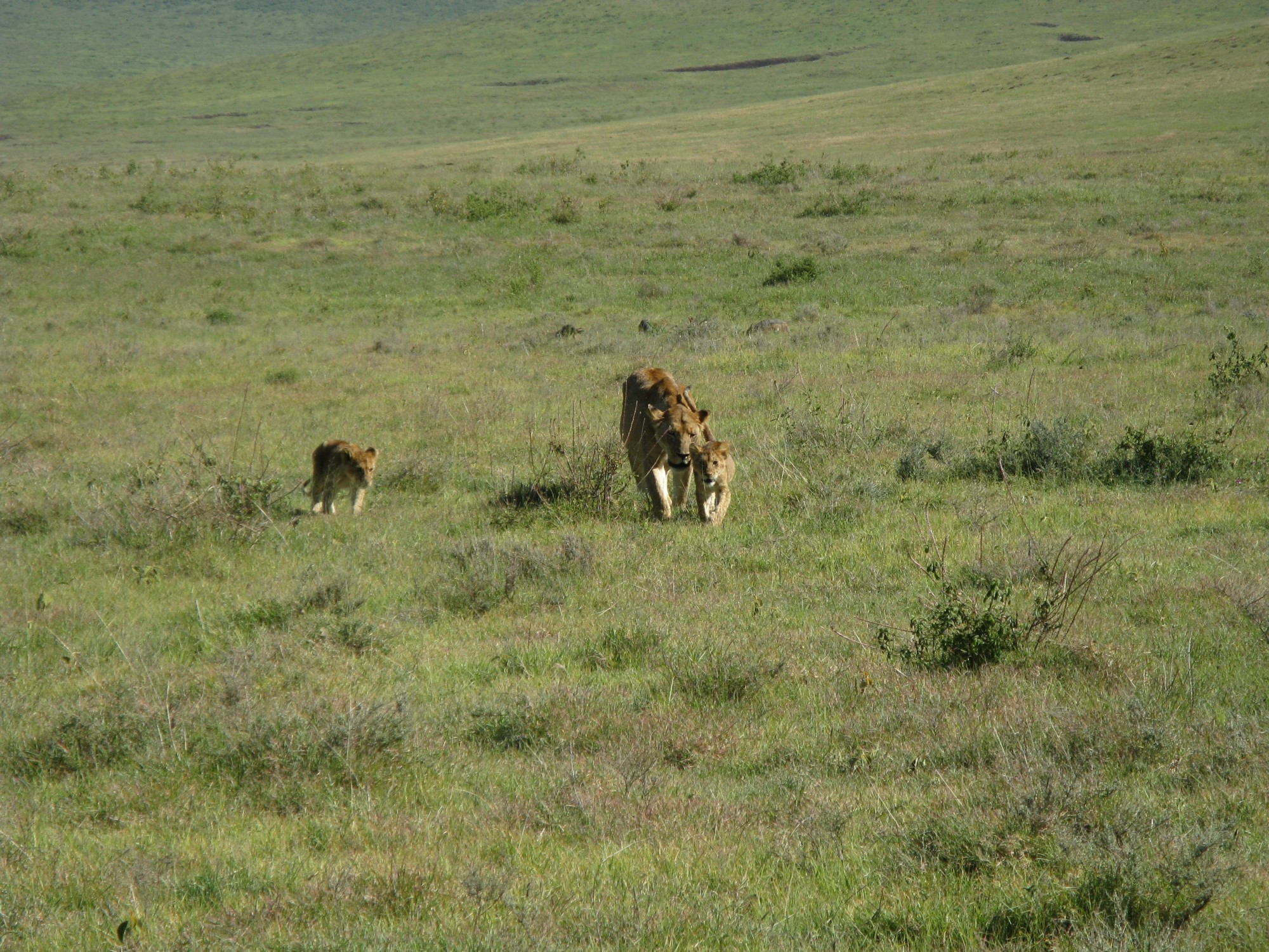 Tanzania