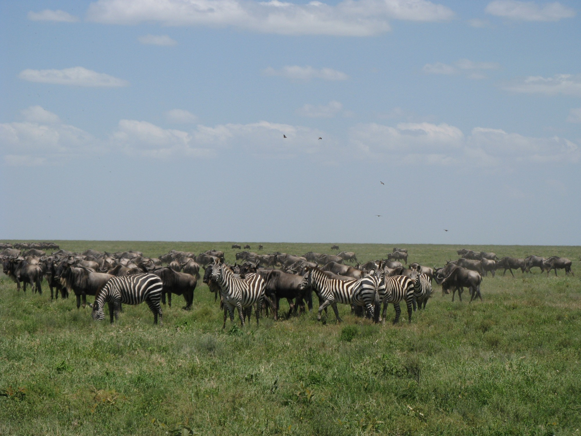 Tanzania