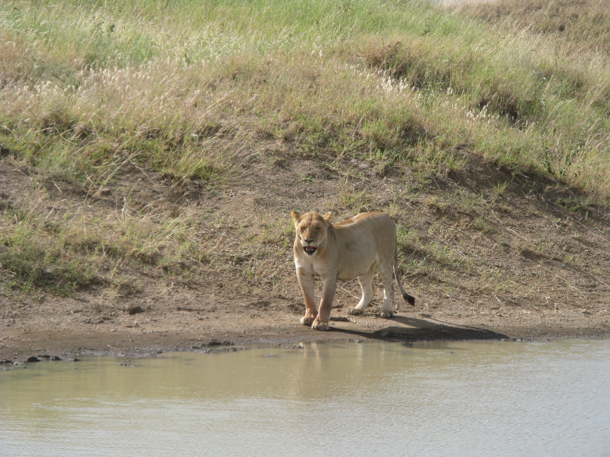 Tanzania