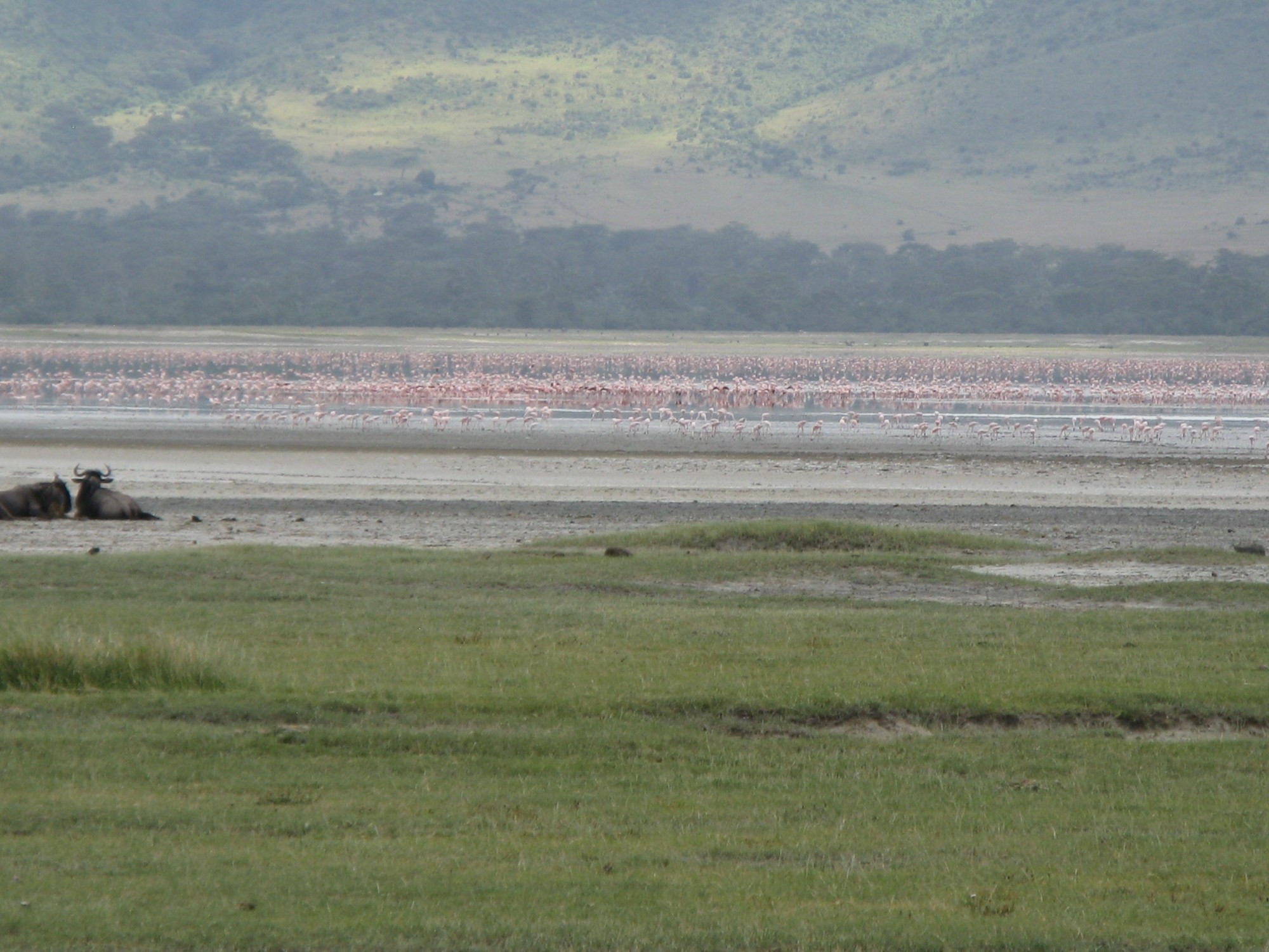 Tanzania