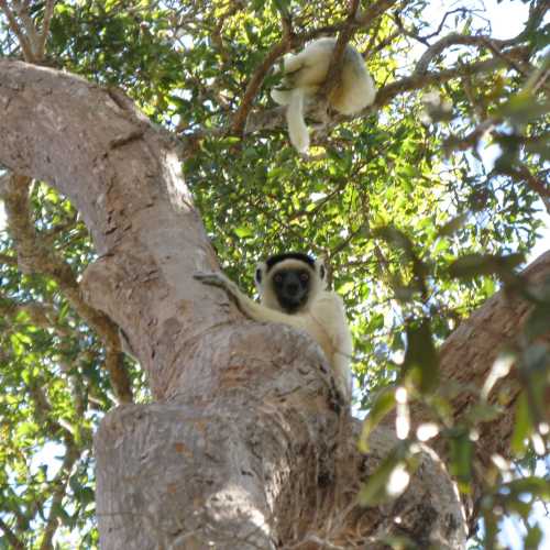 Madagascar