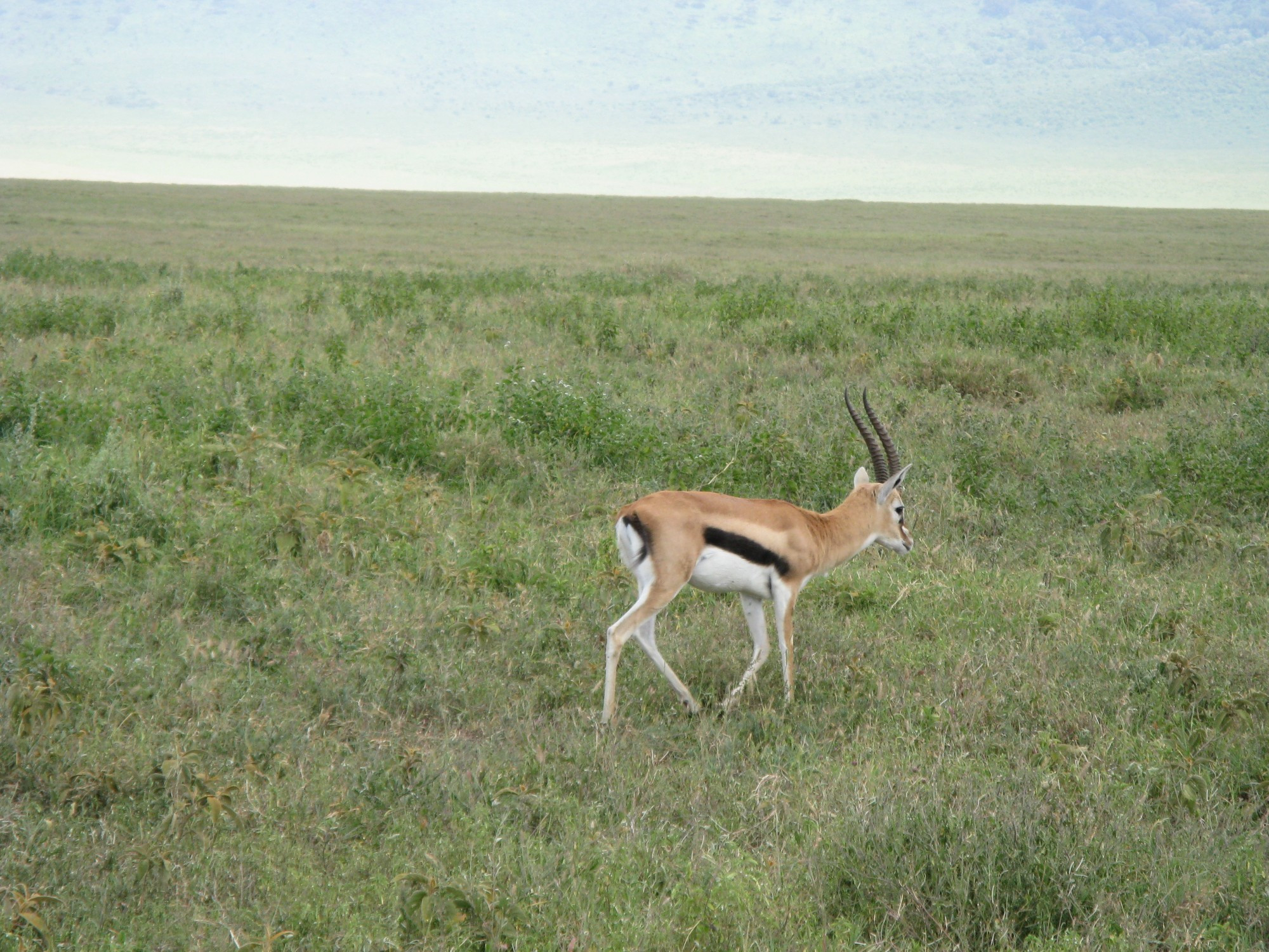 Tanzania