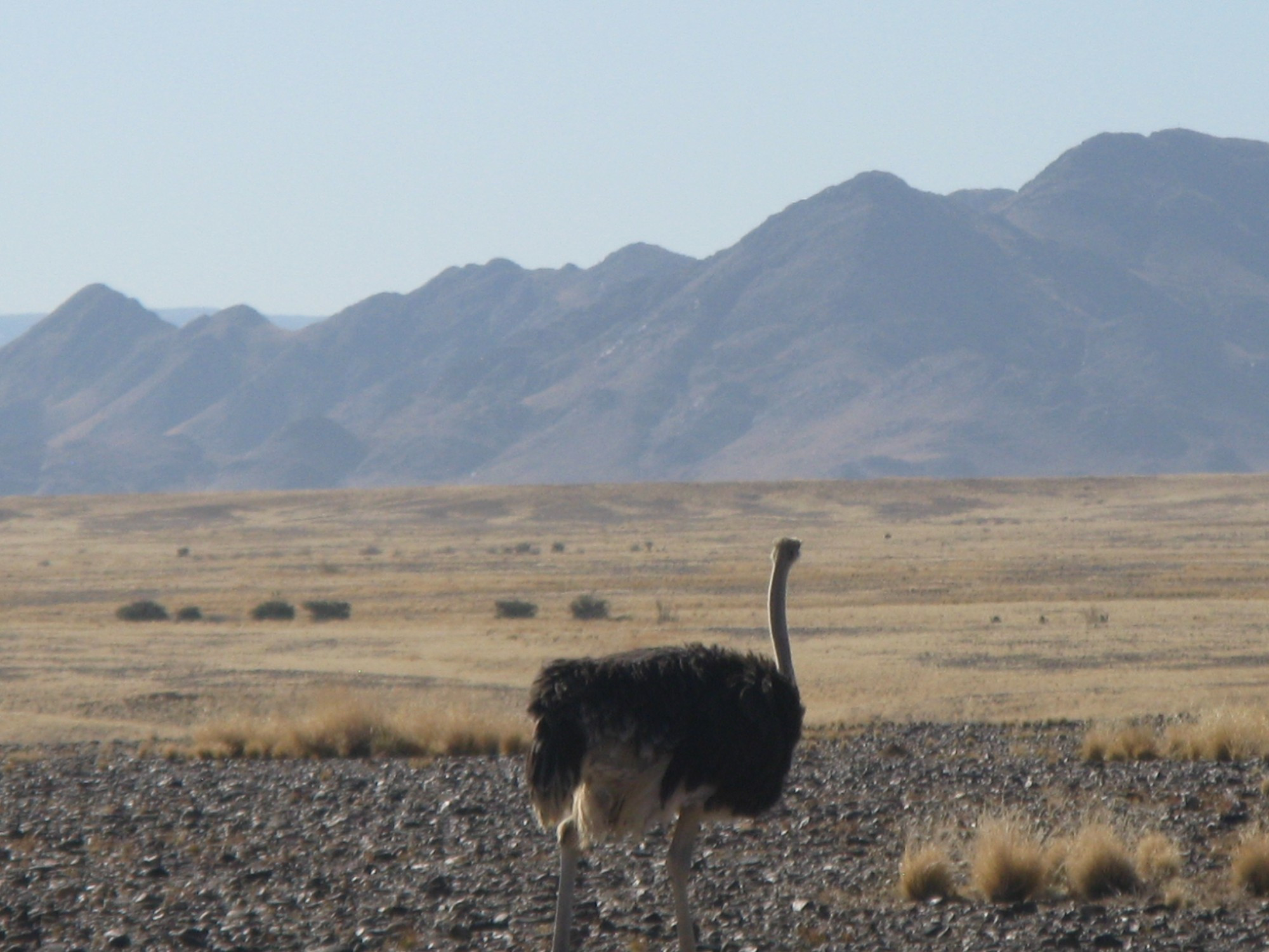 Namibia