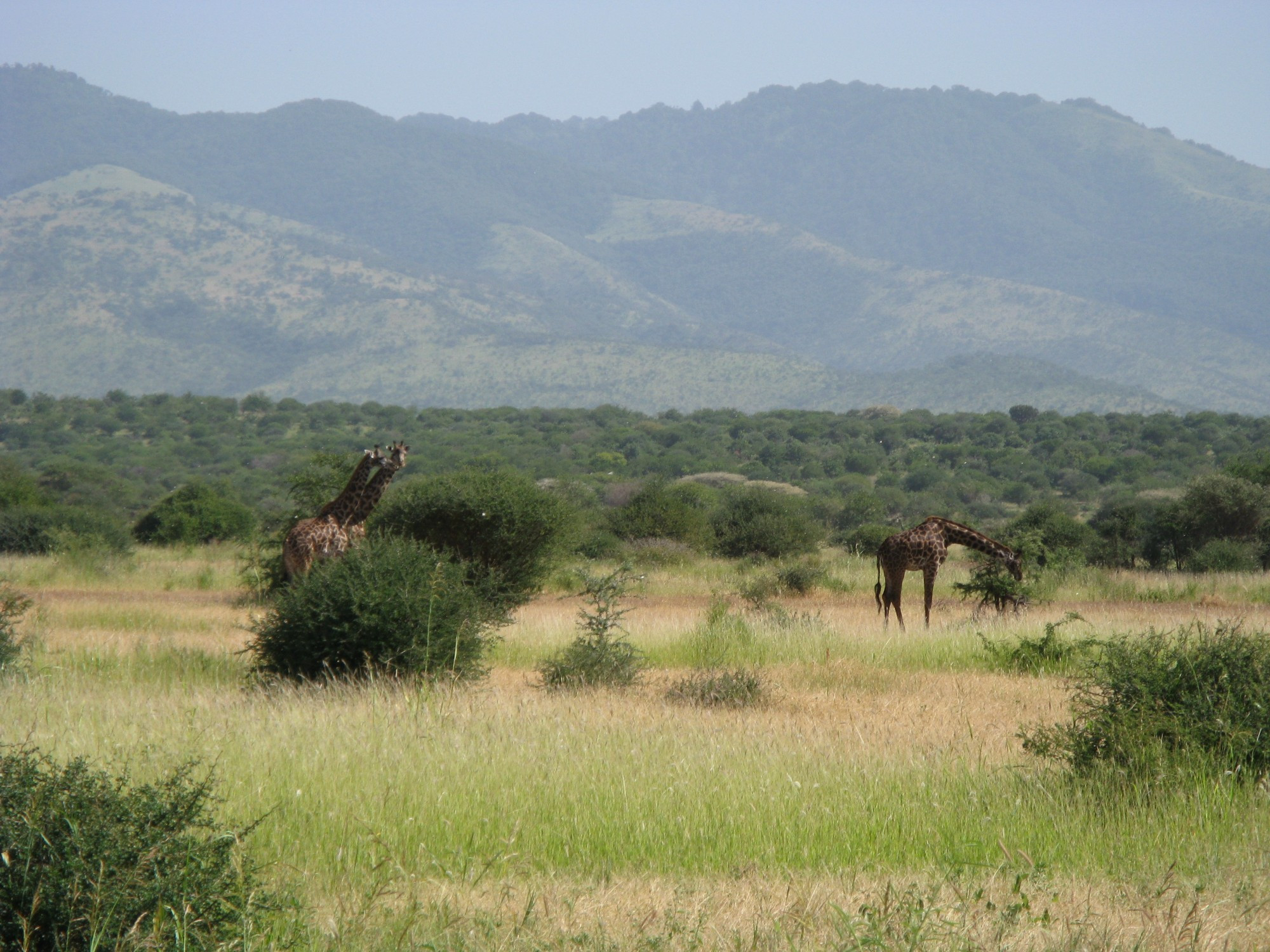 Tanzania