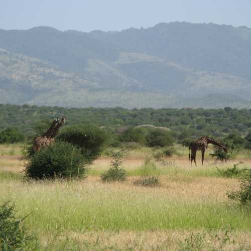 Tanzania