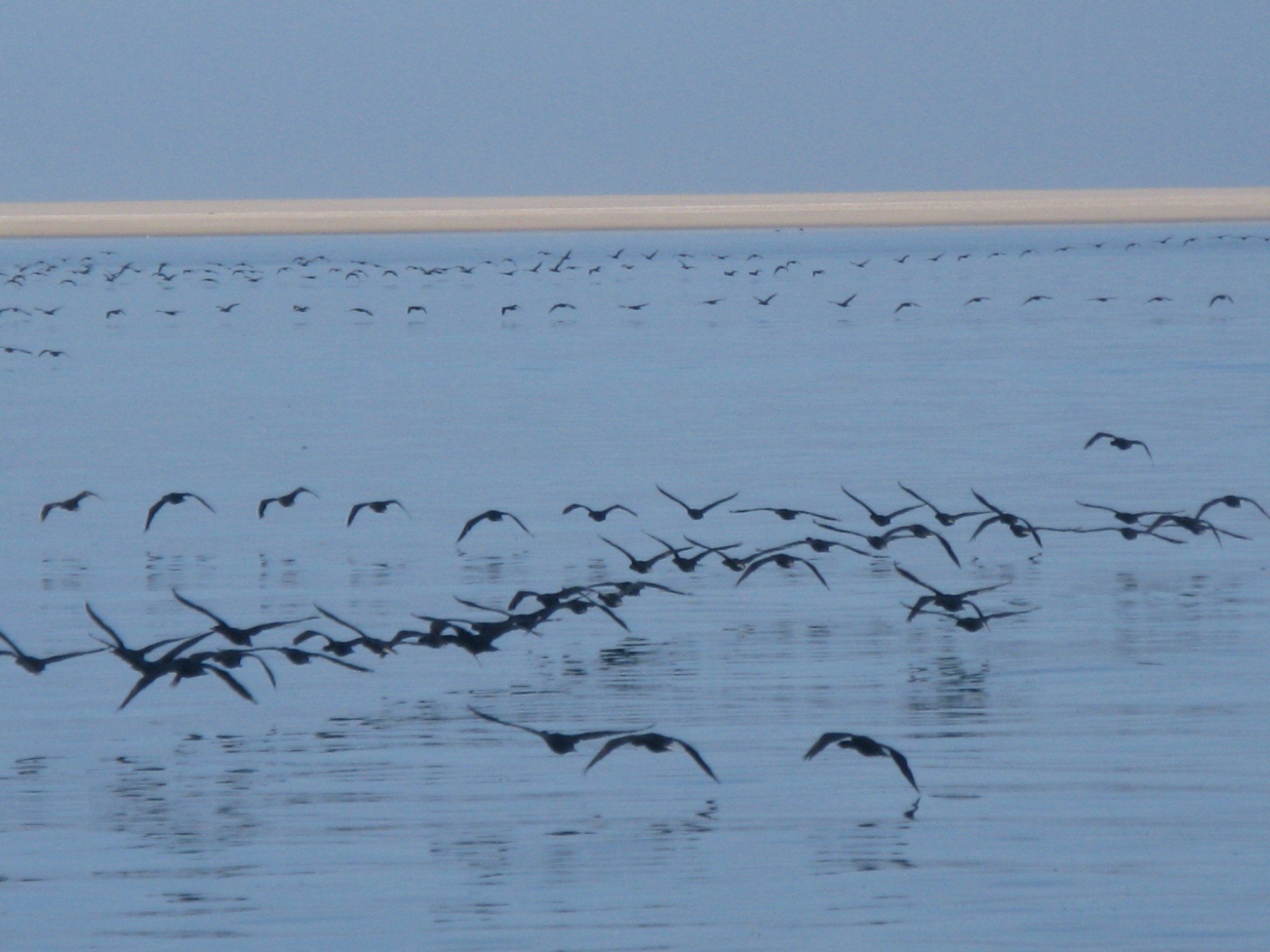 Namibia