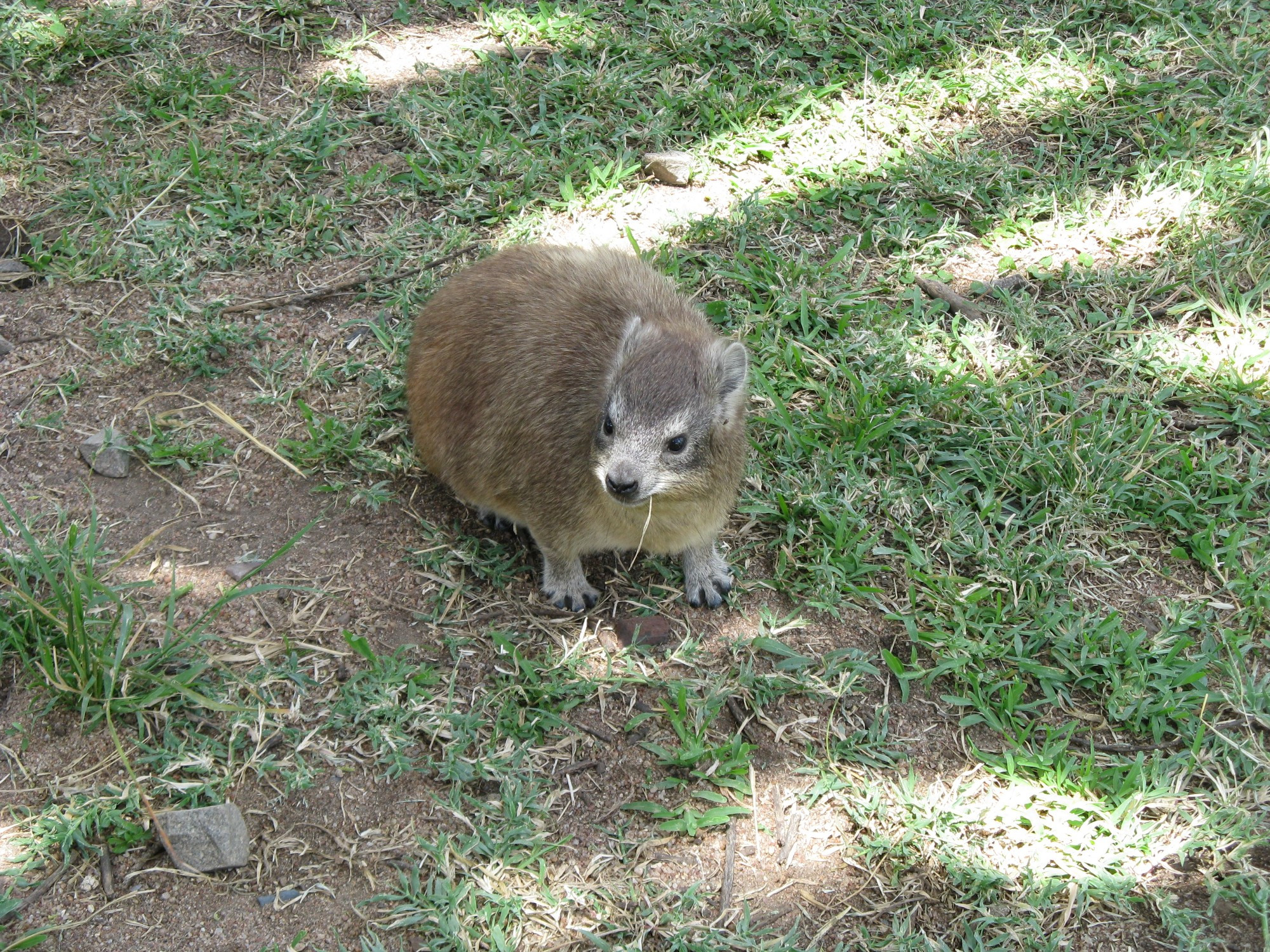 Tanzania