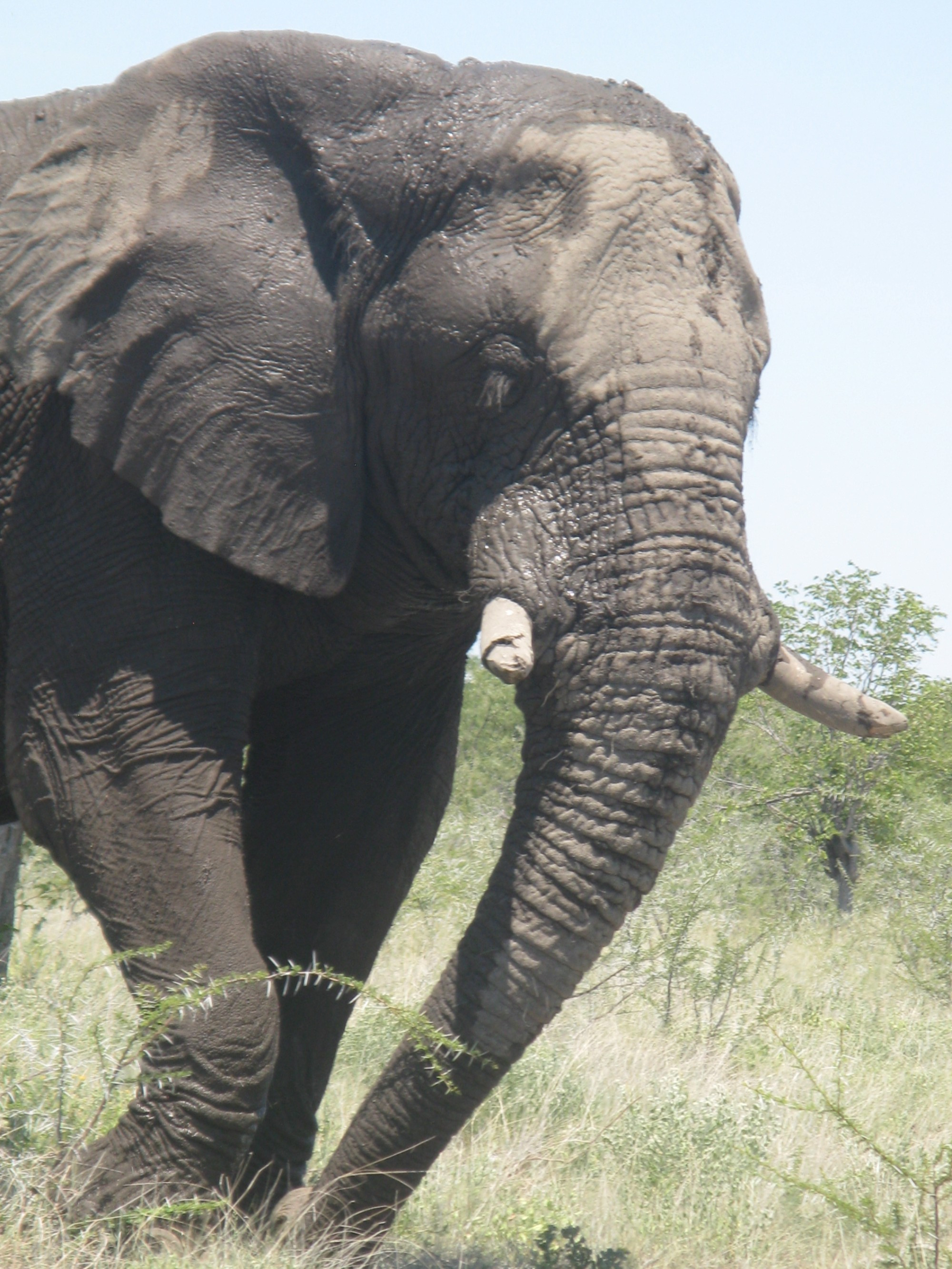 Namibia