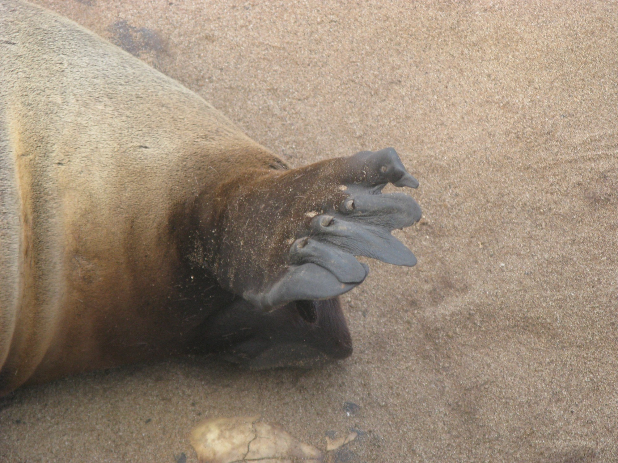 Namibia