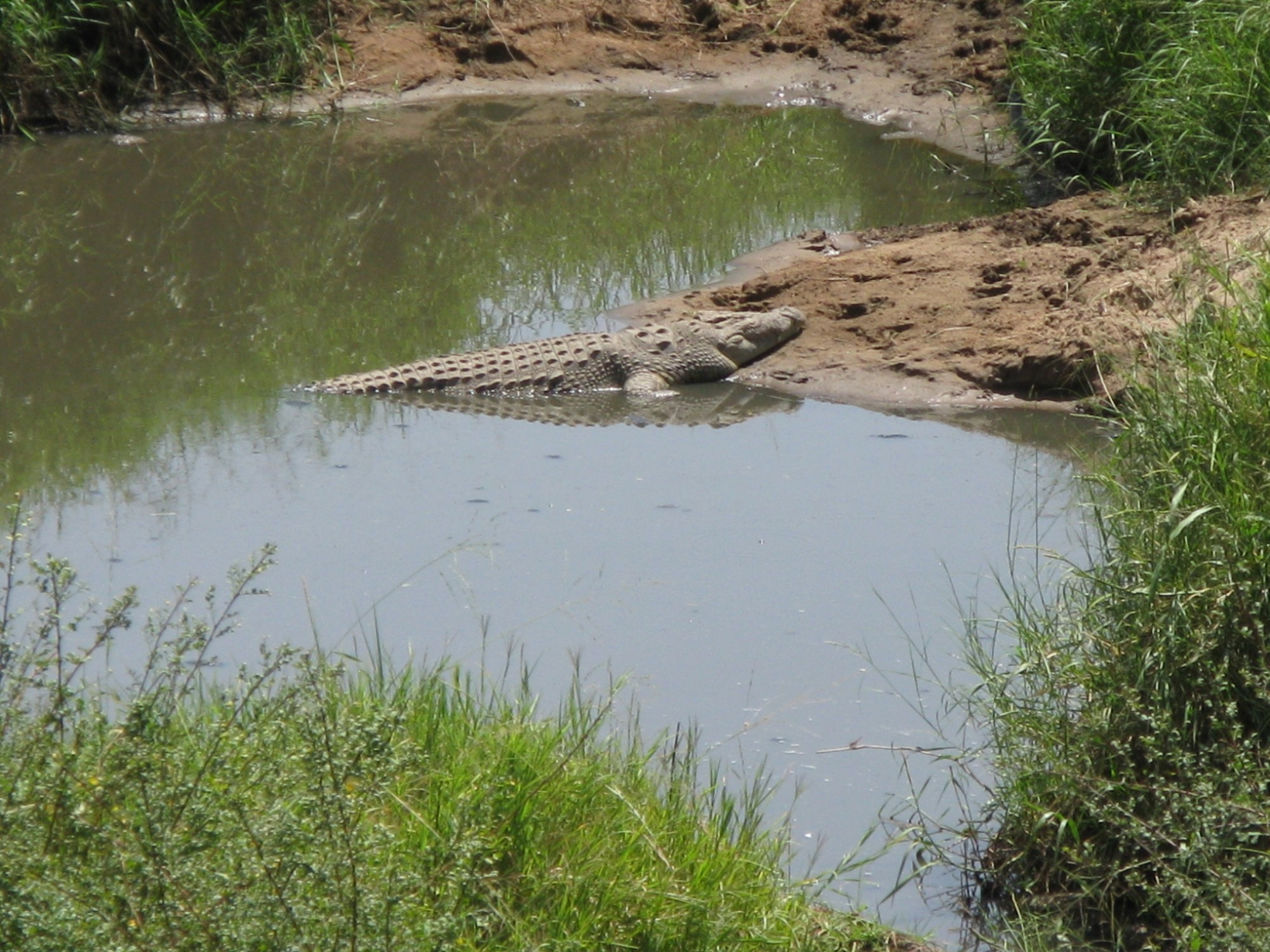 Tanzania