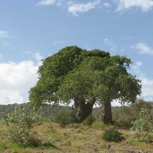 Tanzania