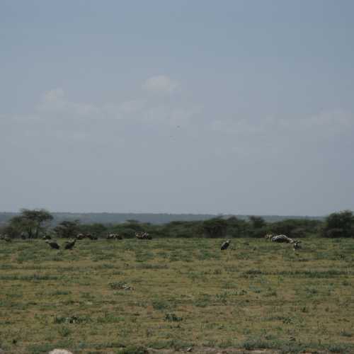 Tanzania