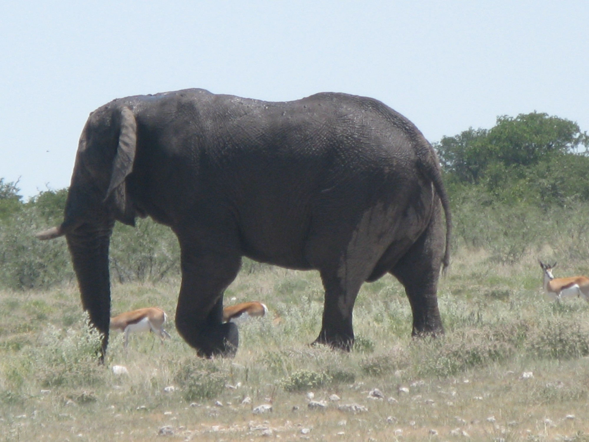 Namibia