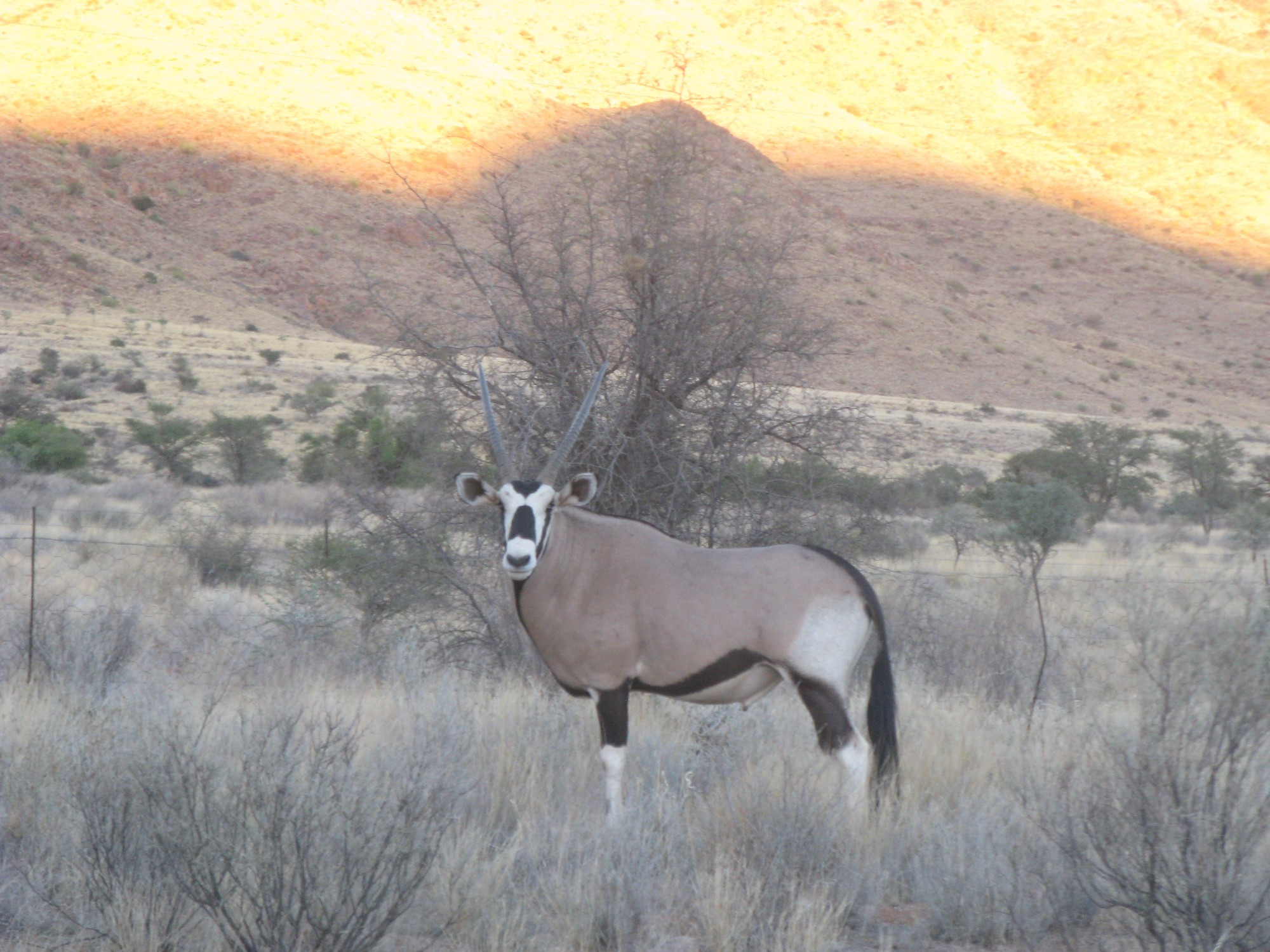 Namibia