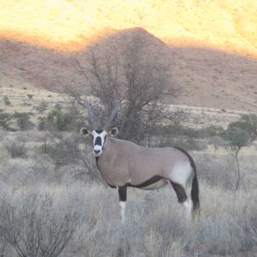 Namibia