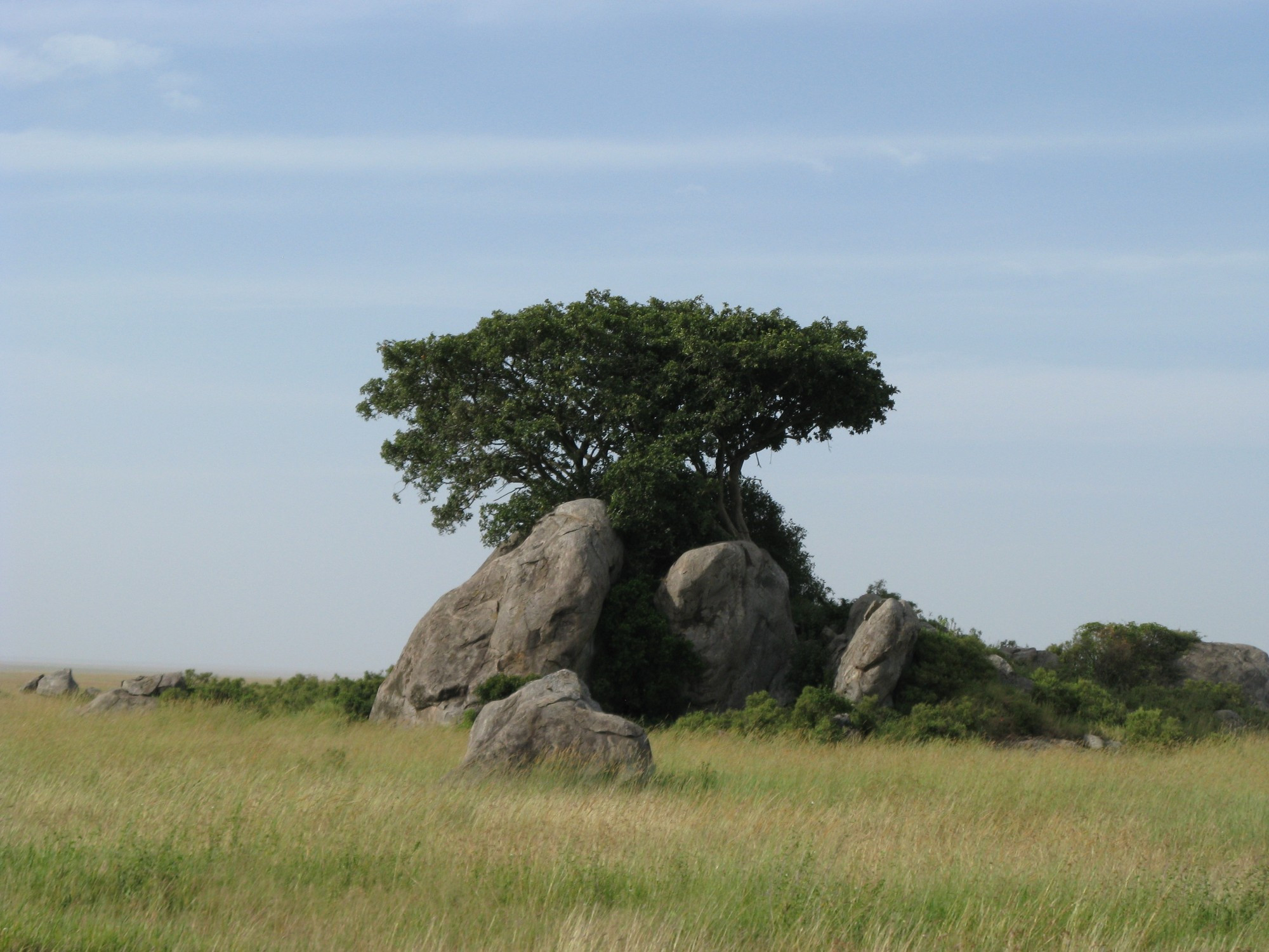 Tanzania