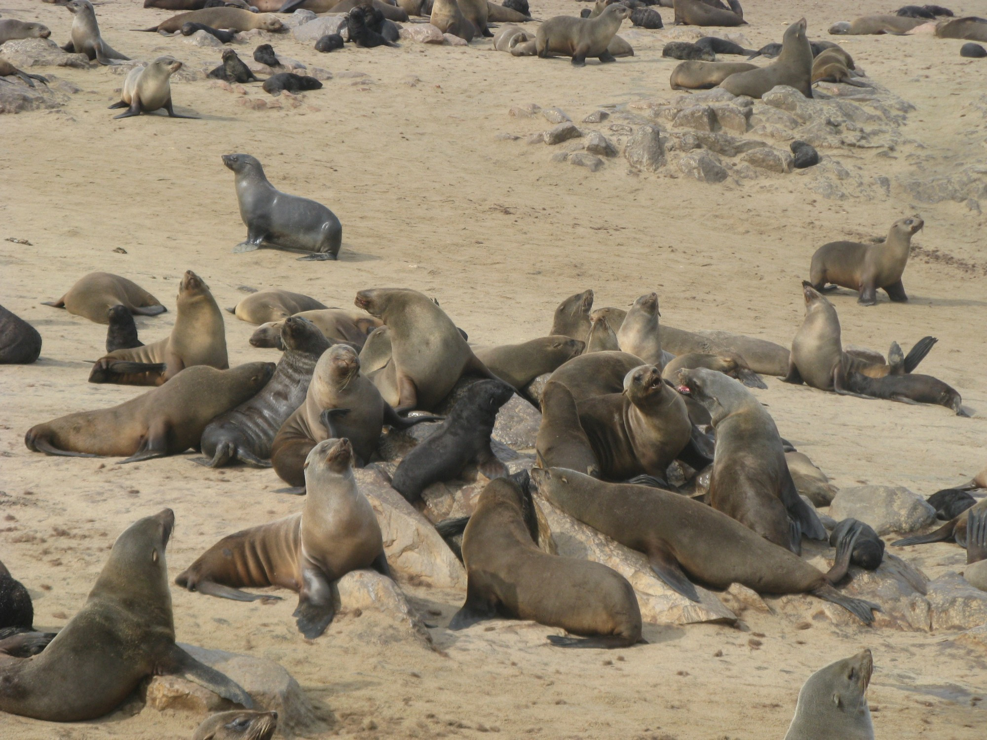 Namibia