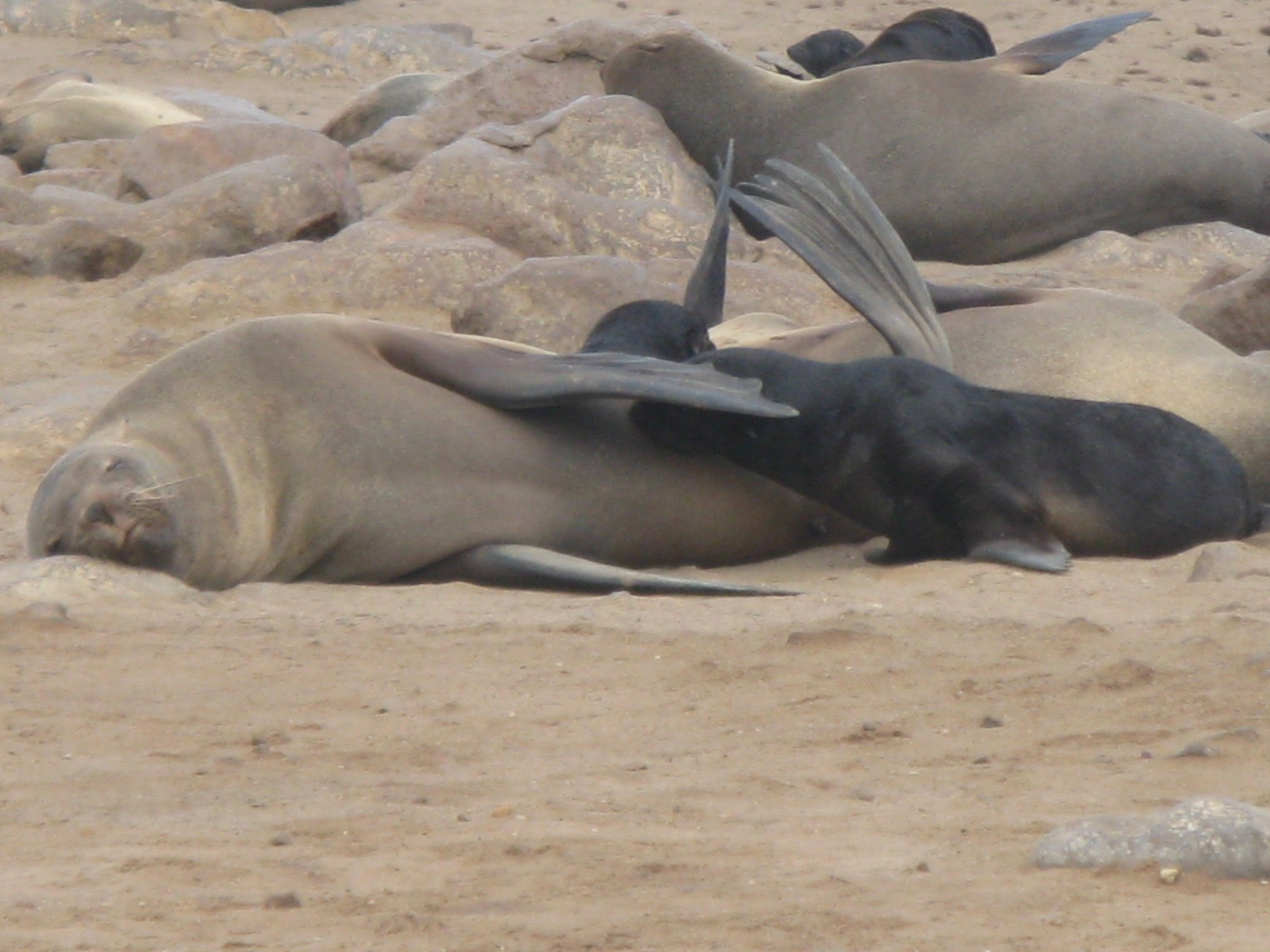 Namibia