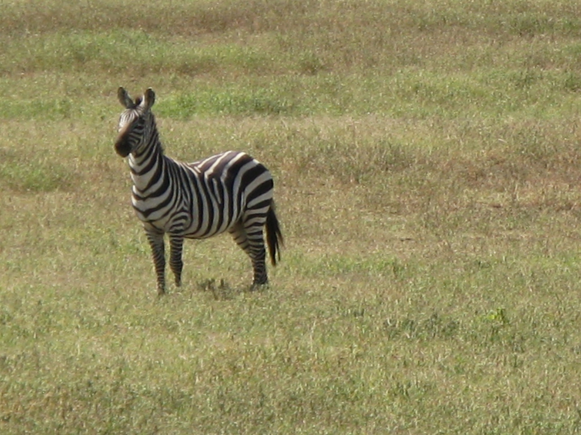 Tanzania