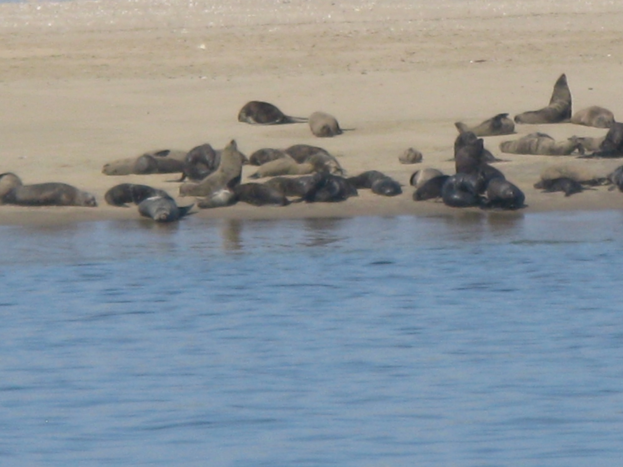 Namibia