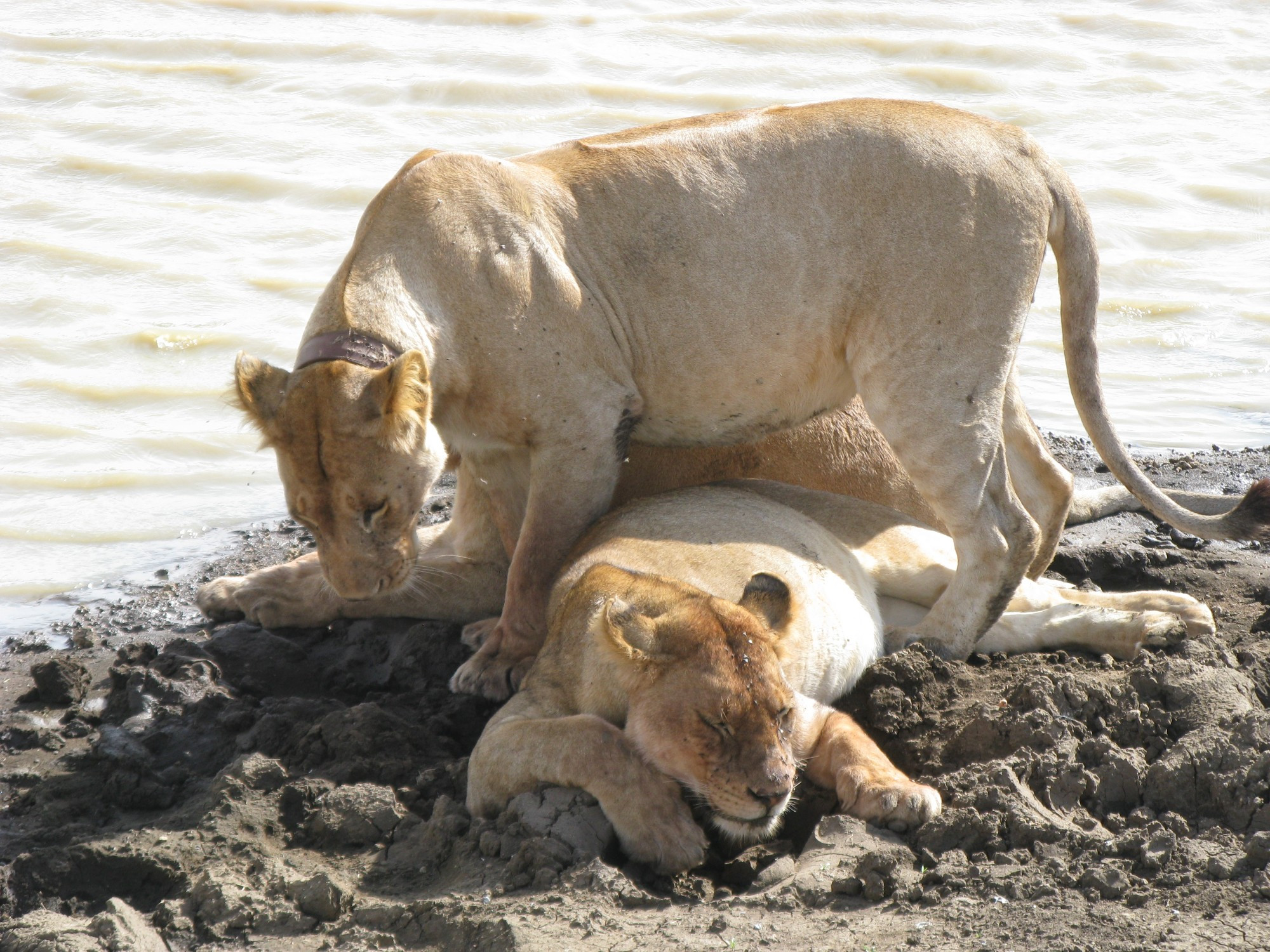 Tanzania