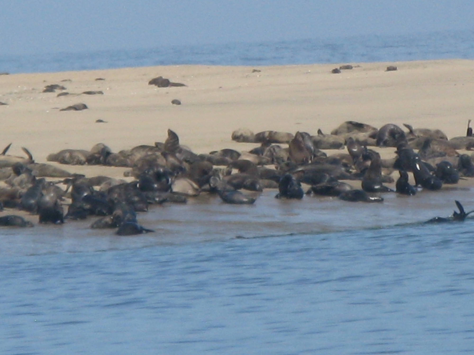 Namibia