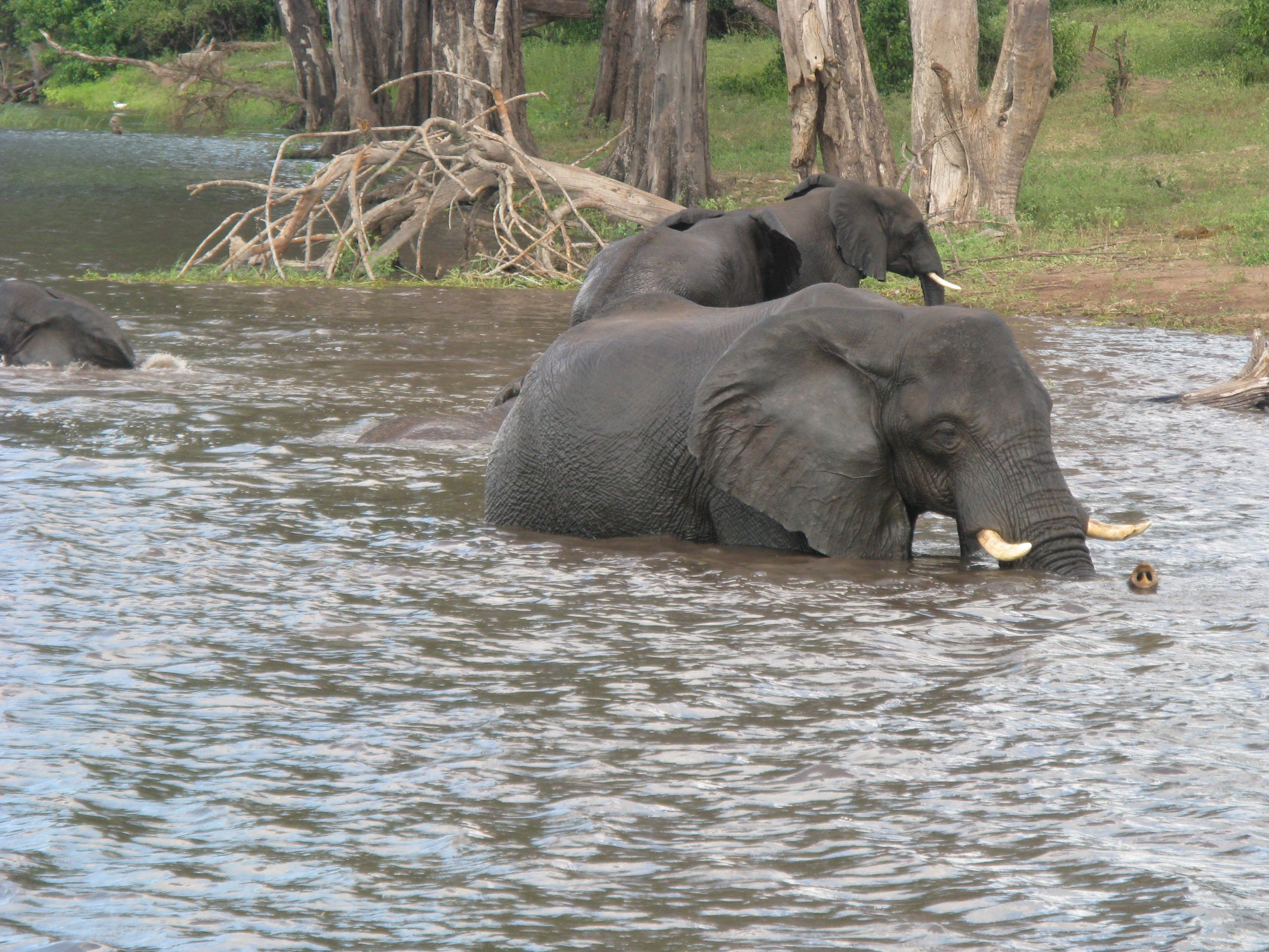 Botswana