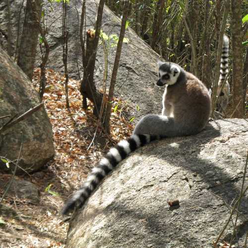 Madagascar