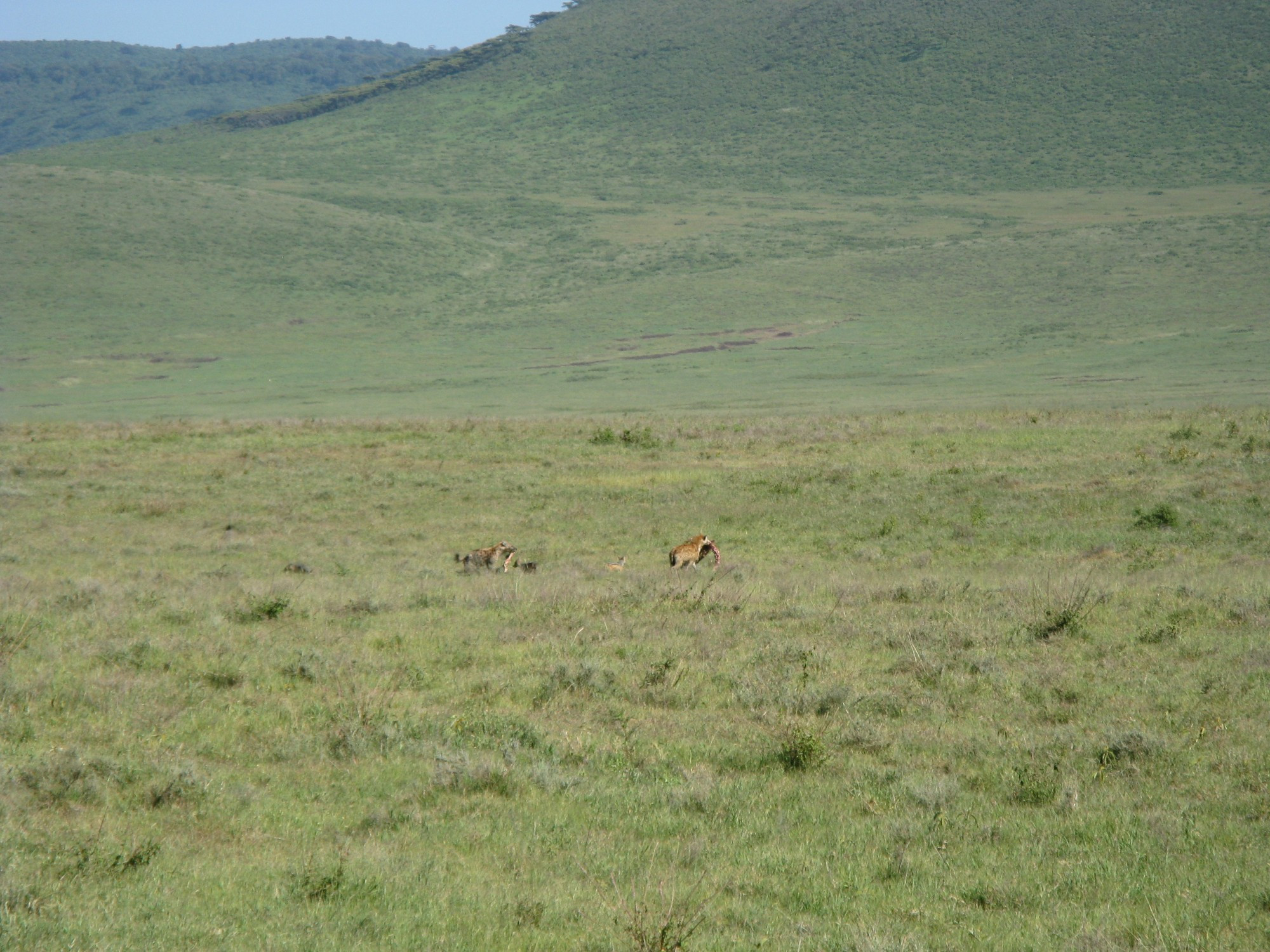 Tanzania