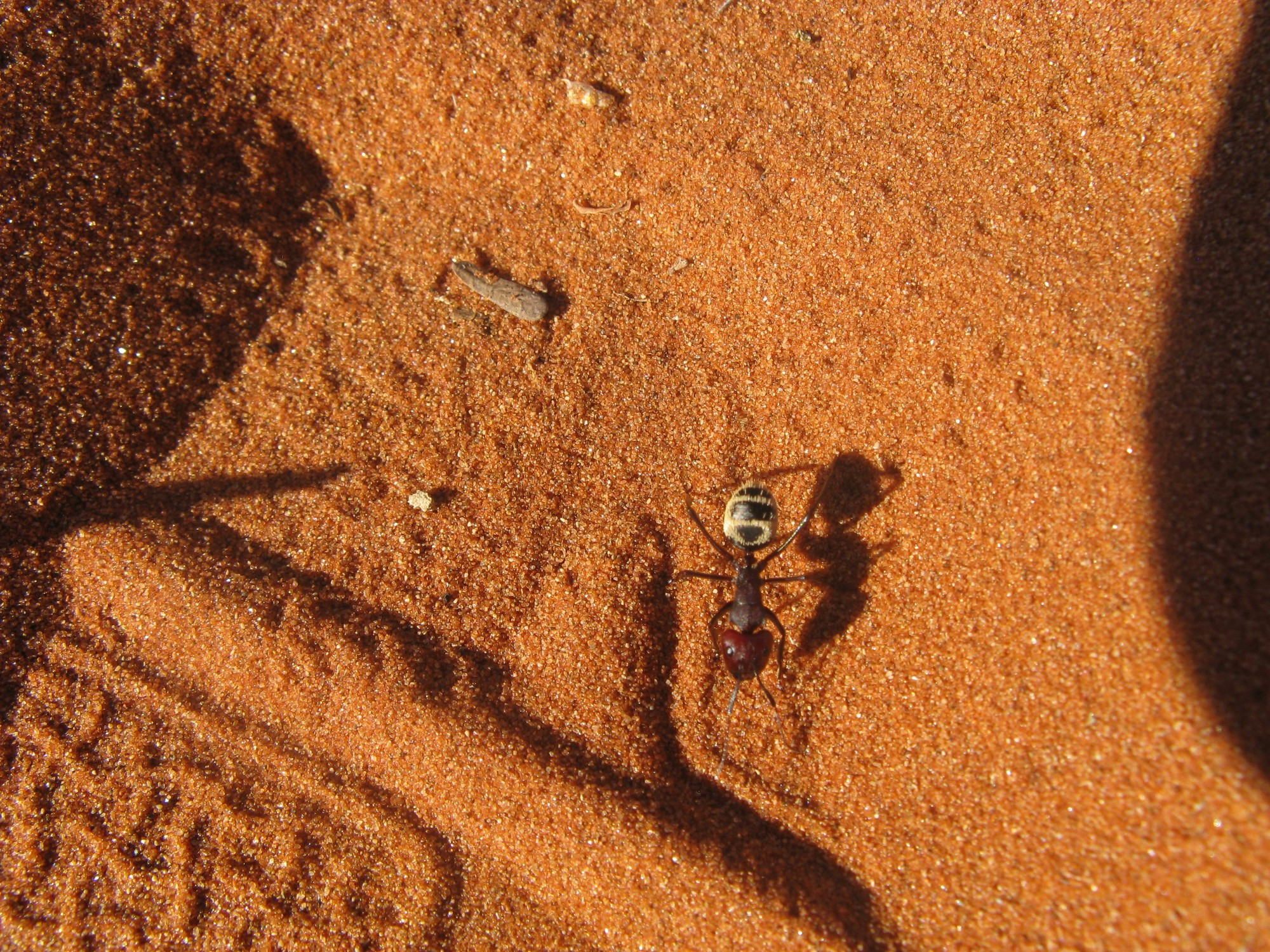 Namibia