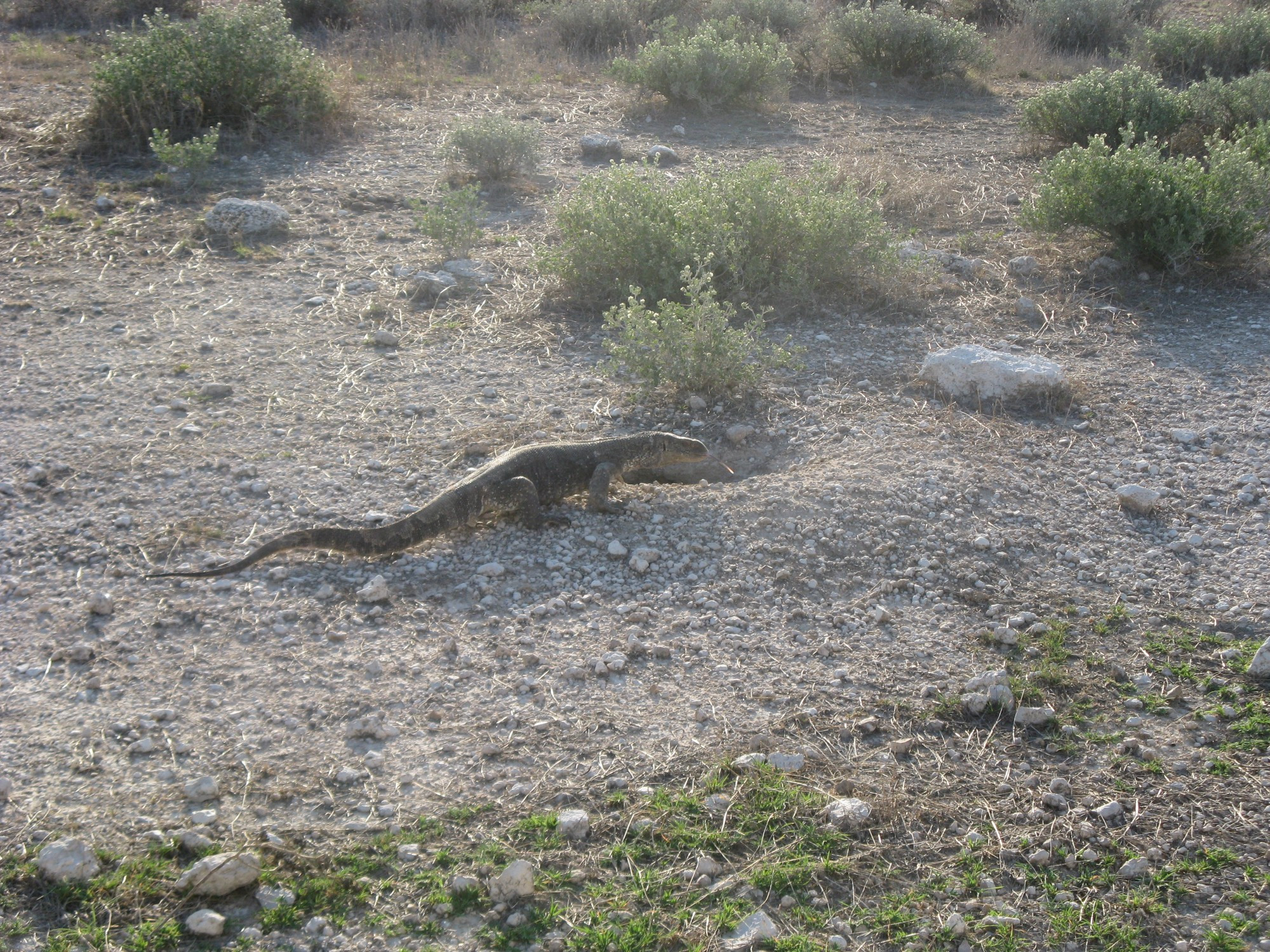 Namibia