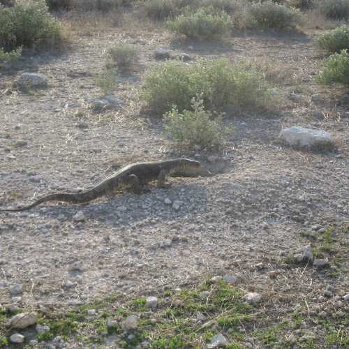 Namibia