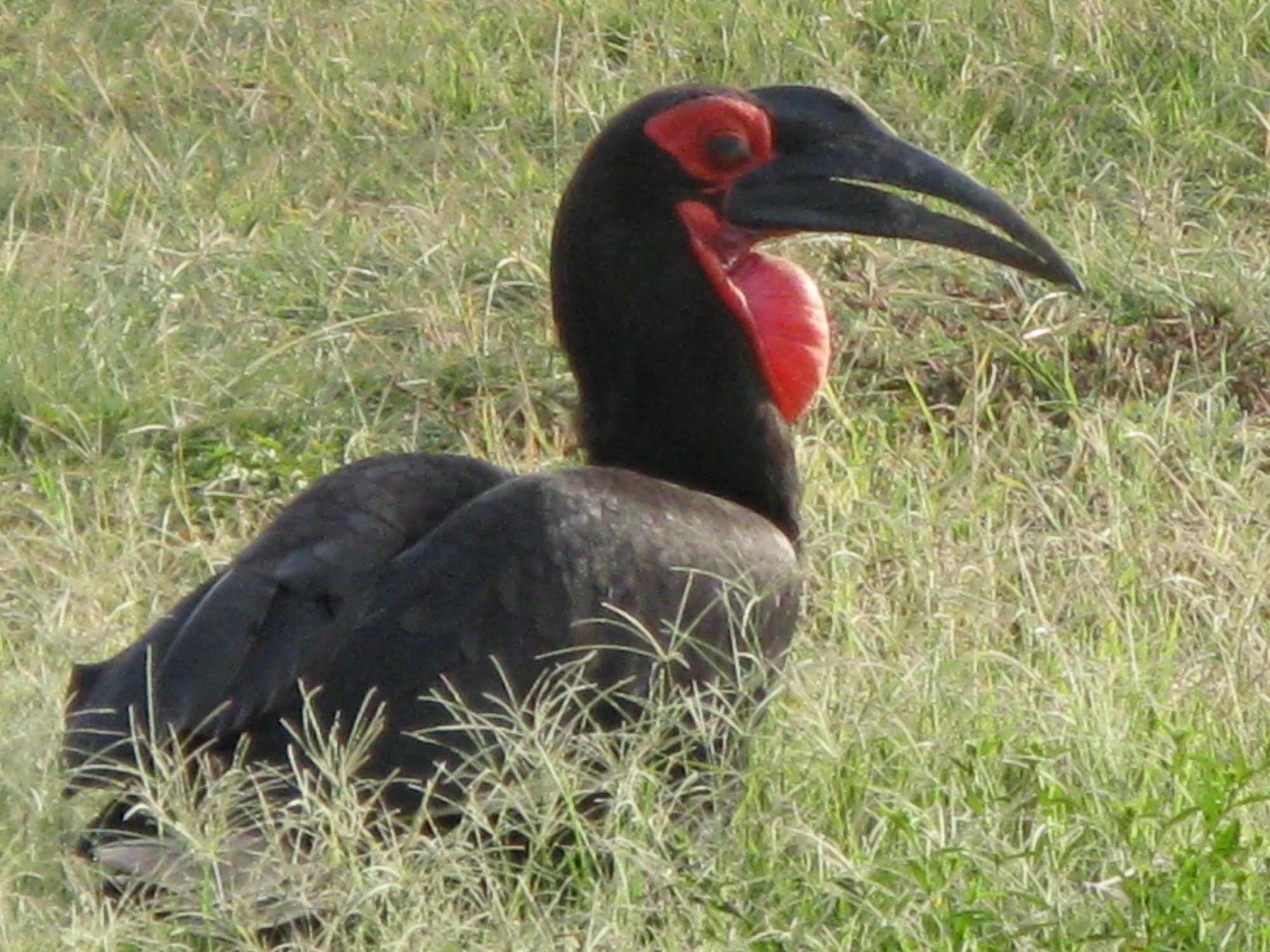 Tanzania