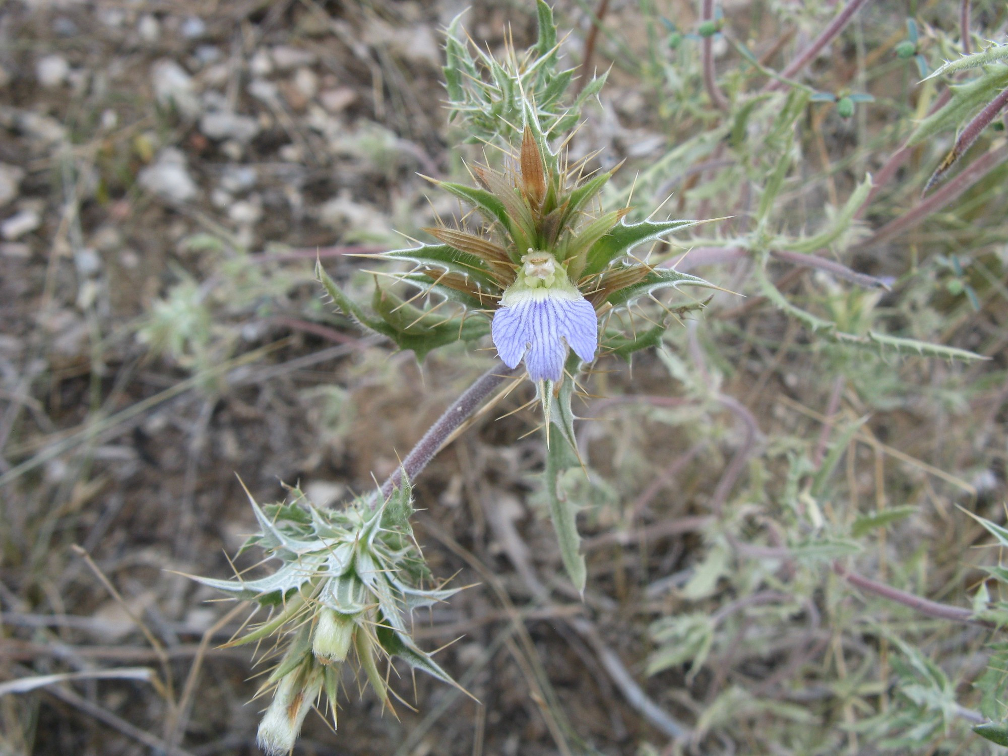 Namibia