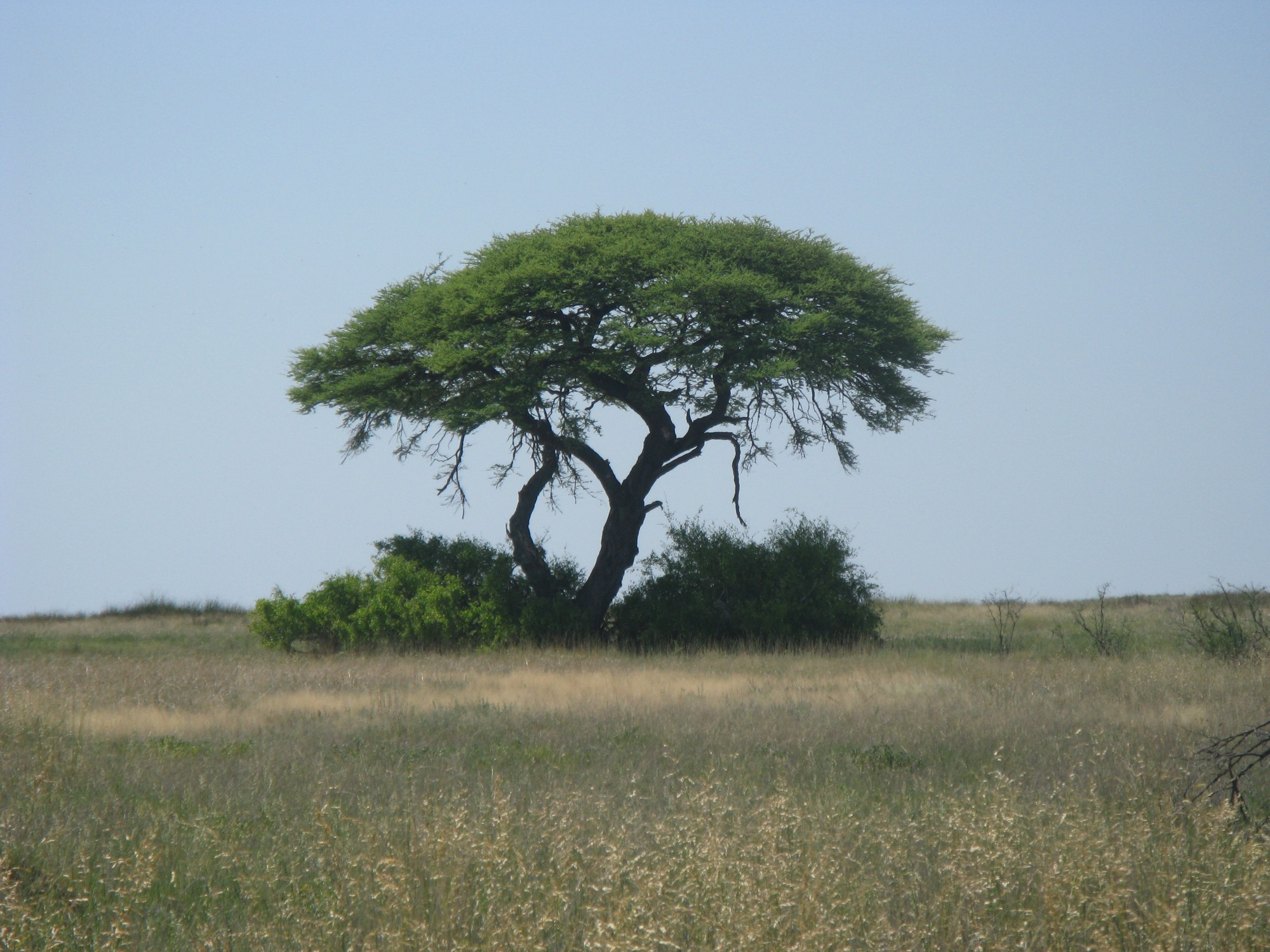 Namibia