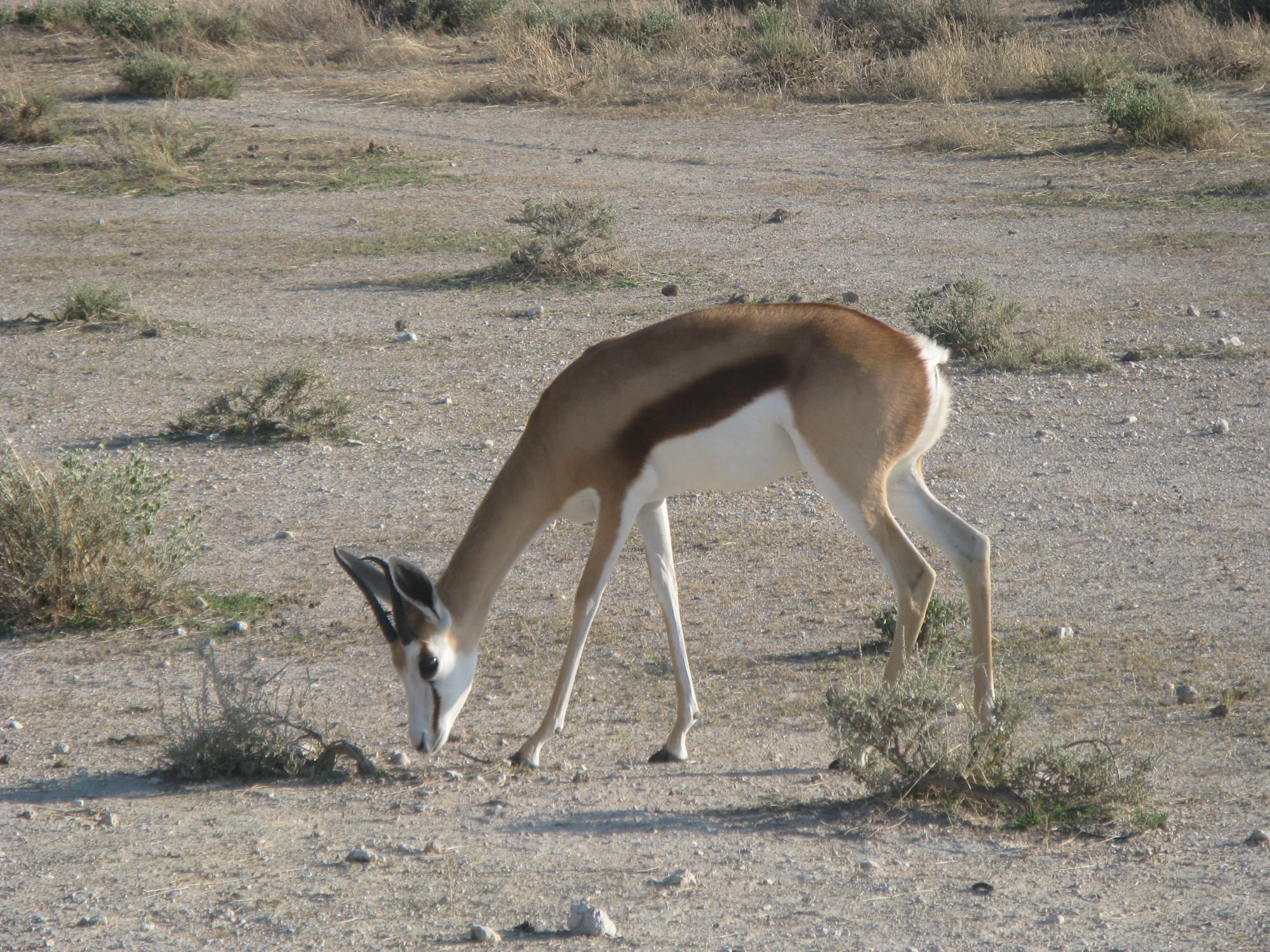 Namibia