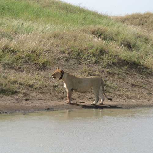 Tanzania