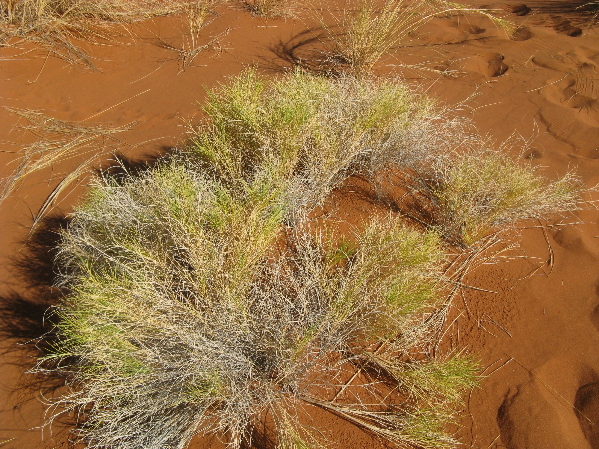 Namibia