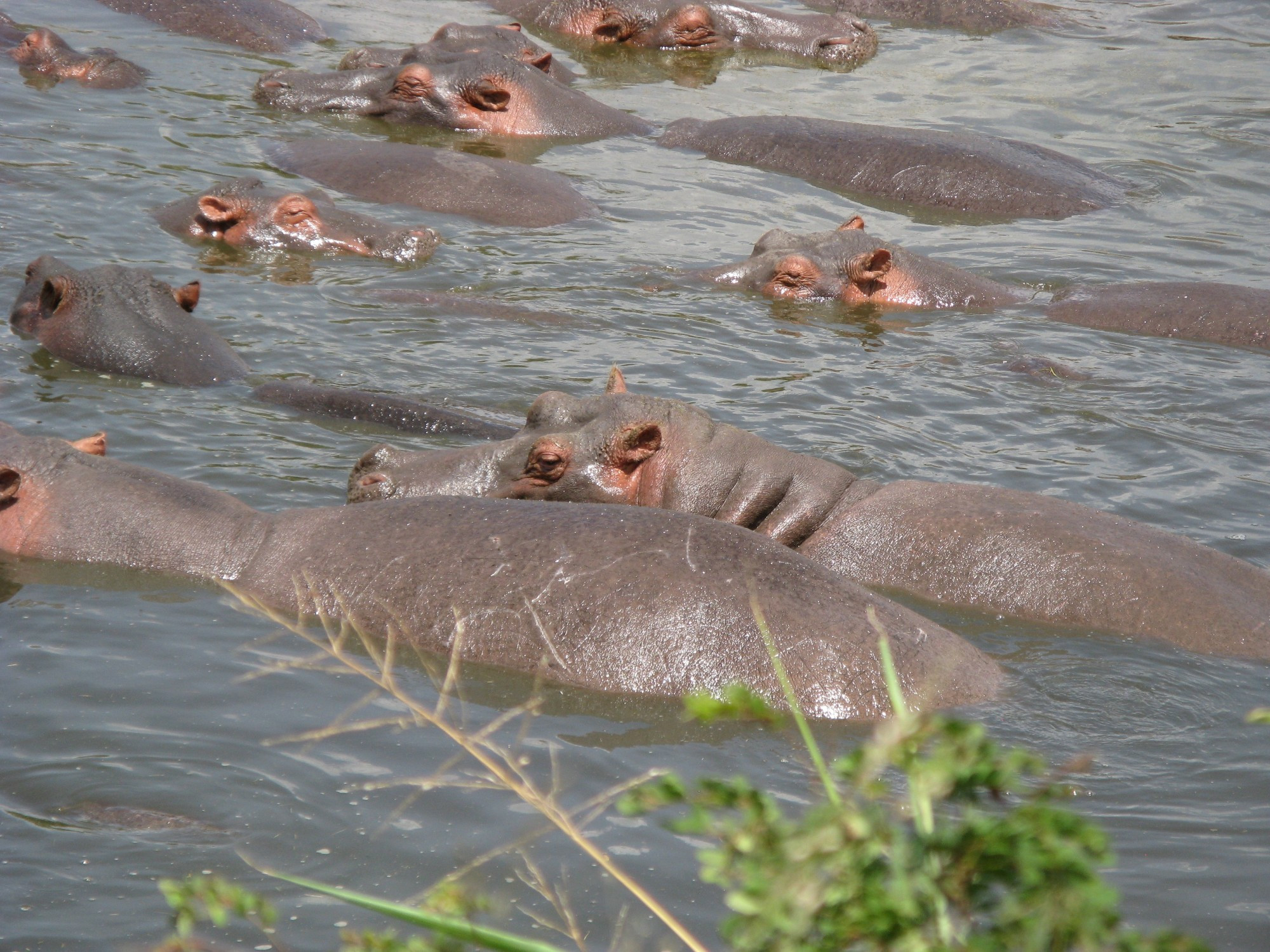 Tanzania